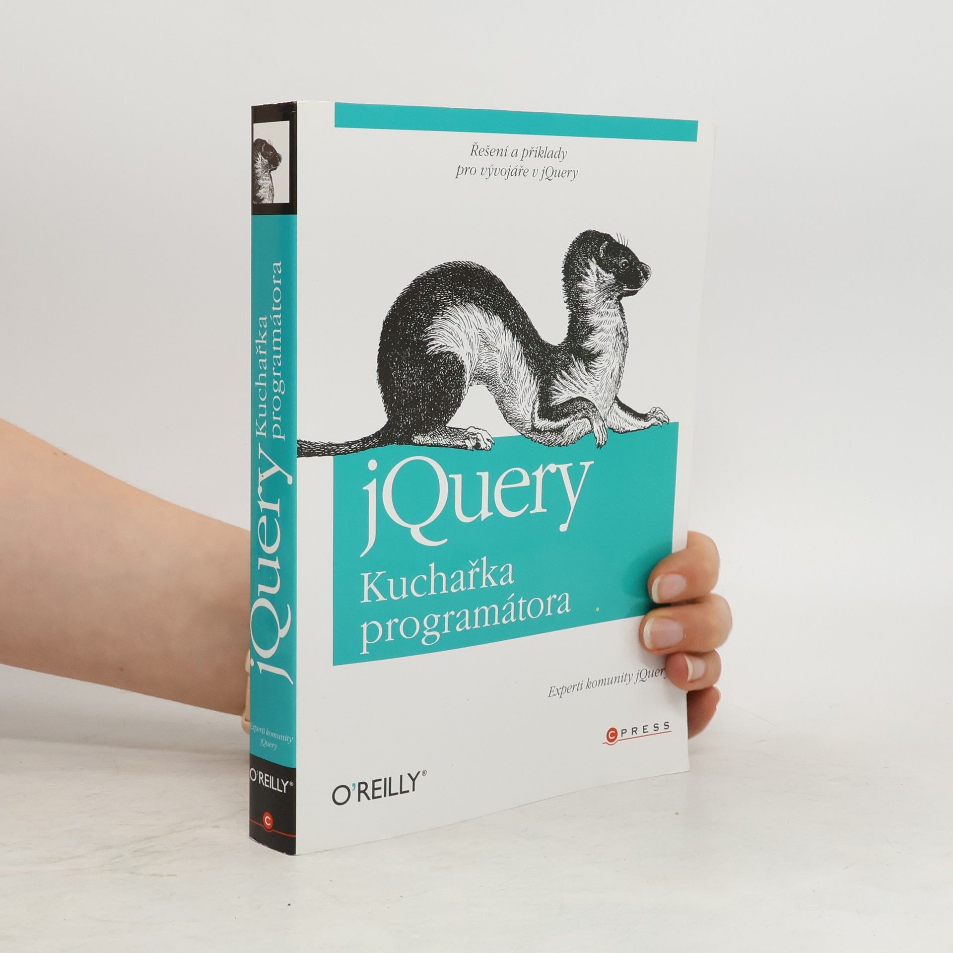 Autorenkollektiv jQuery - kuchařka programátora