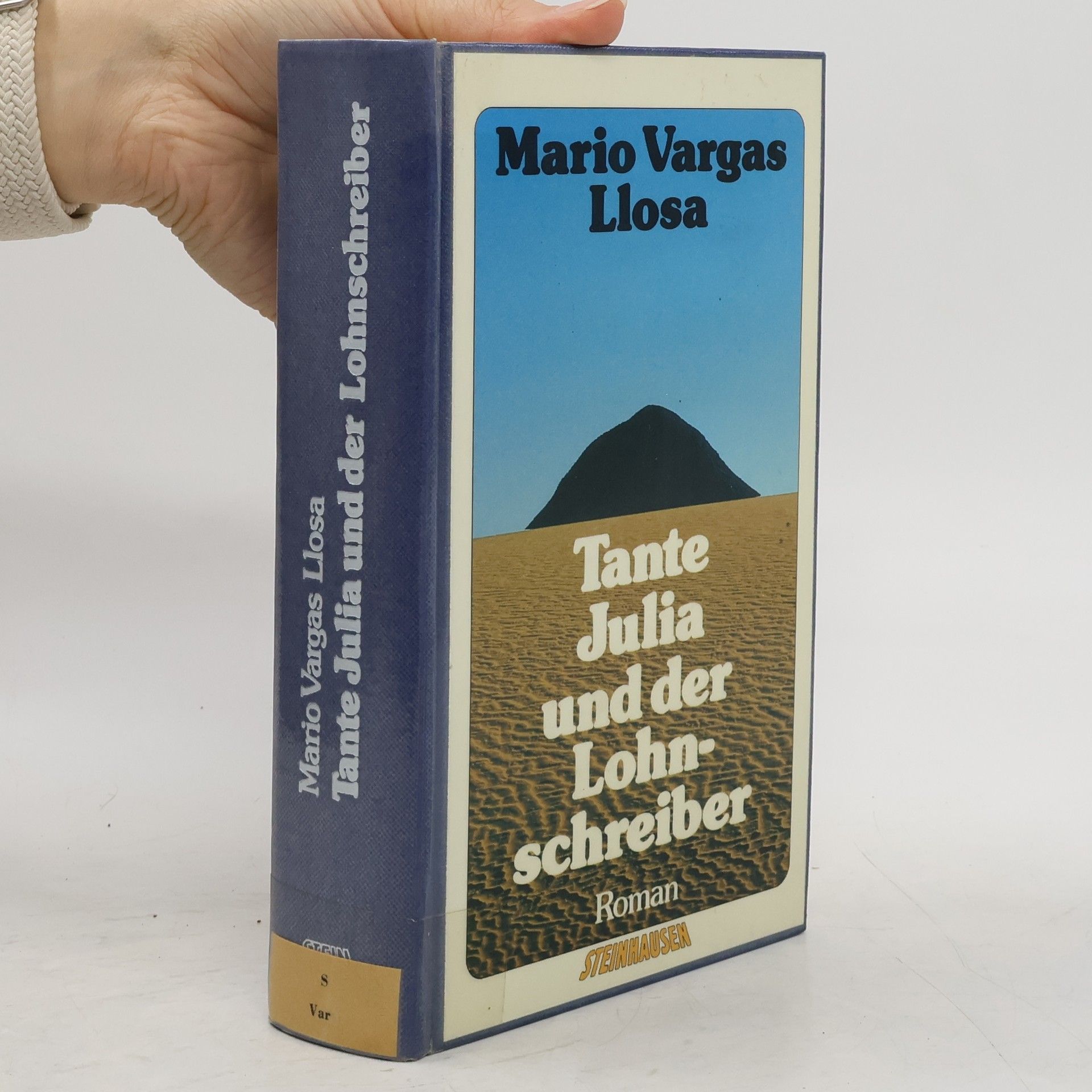 Mario Vargas Llosa Tante Julia und der Lohnschreiber