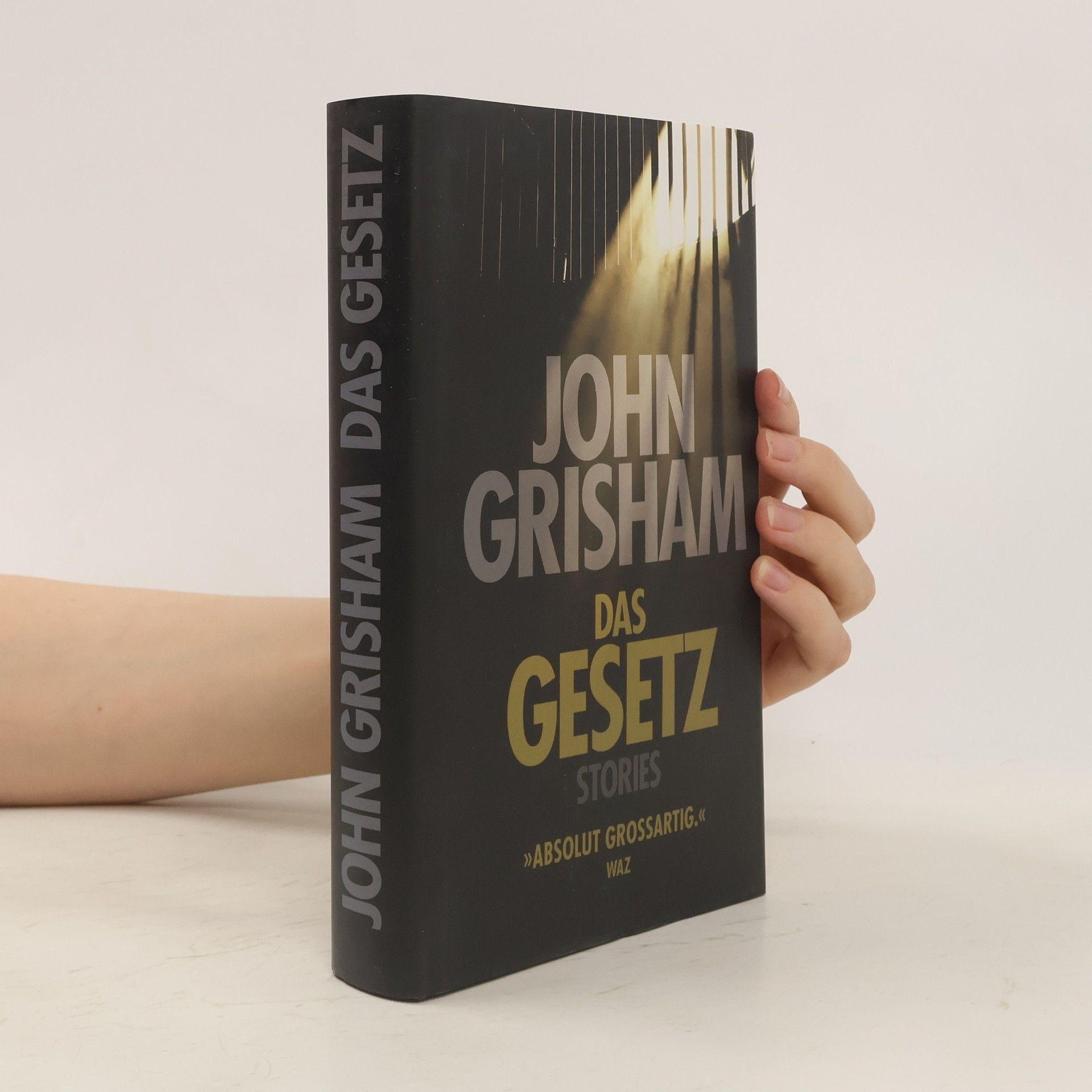 John Grisham Das gesetz Stories