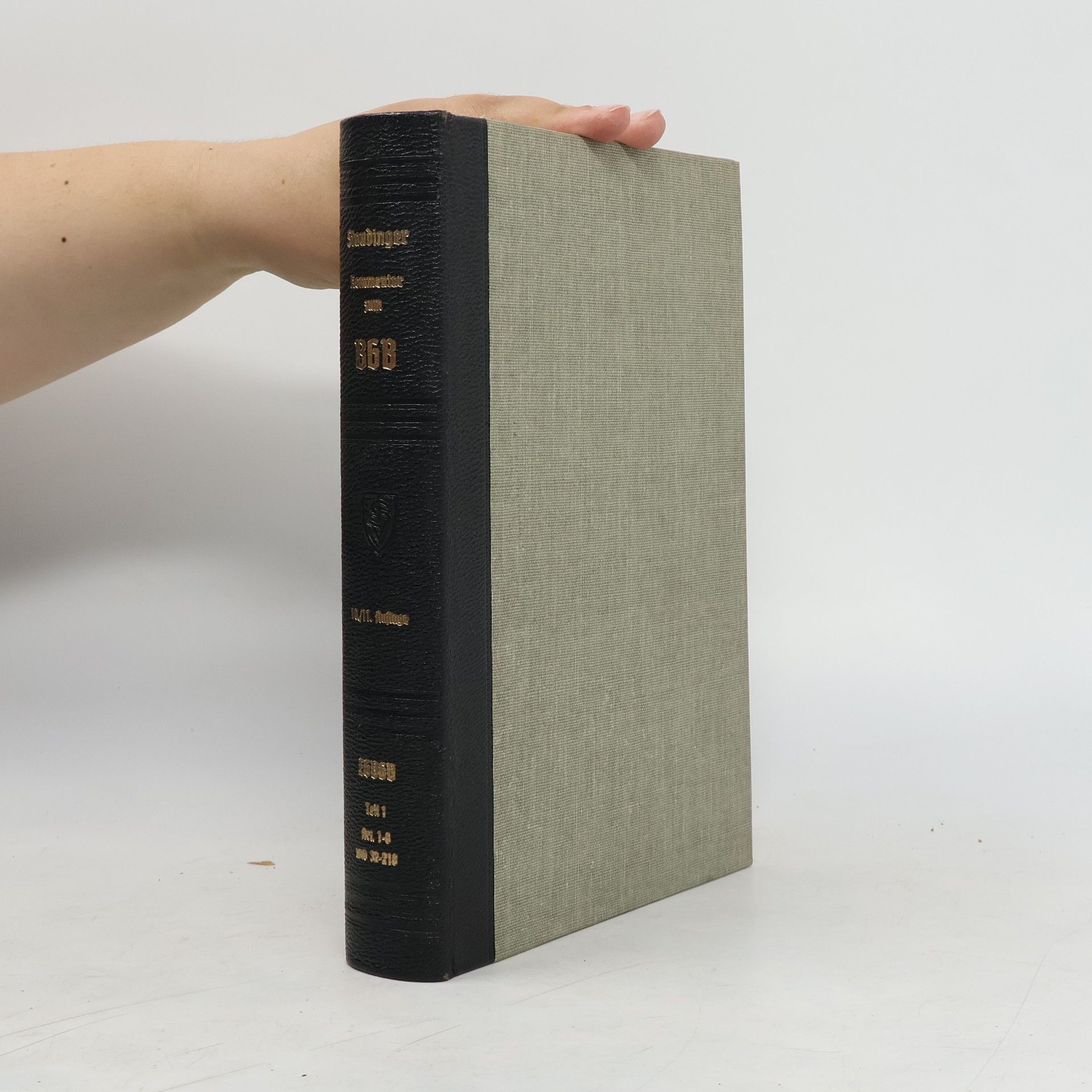 Collectif d'auteurs Einführungsgesetz zum Bürgerlichen Gesetzbuch 1