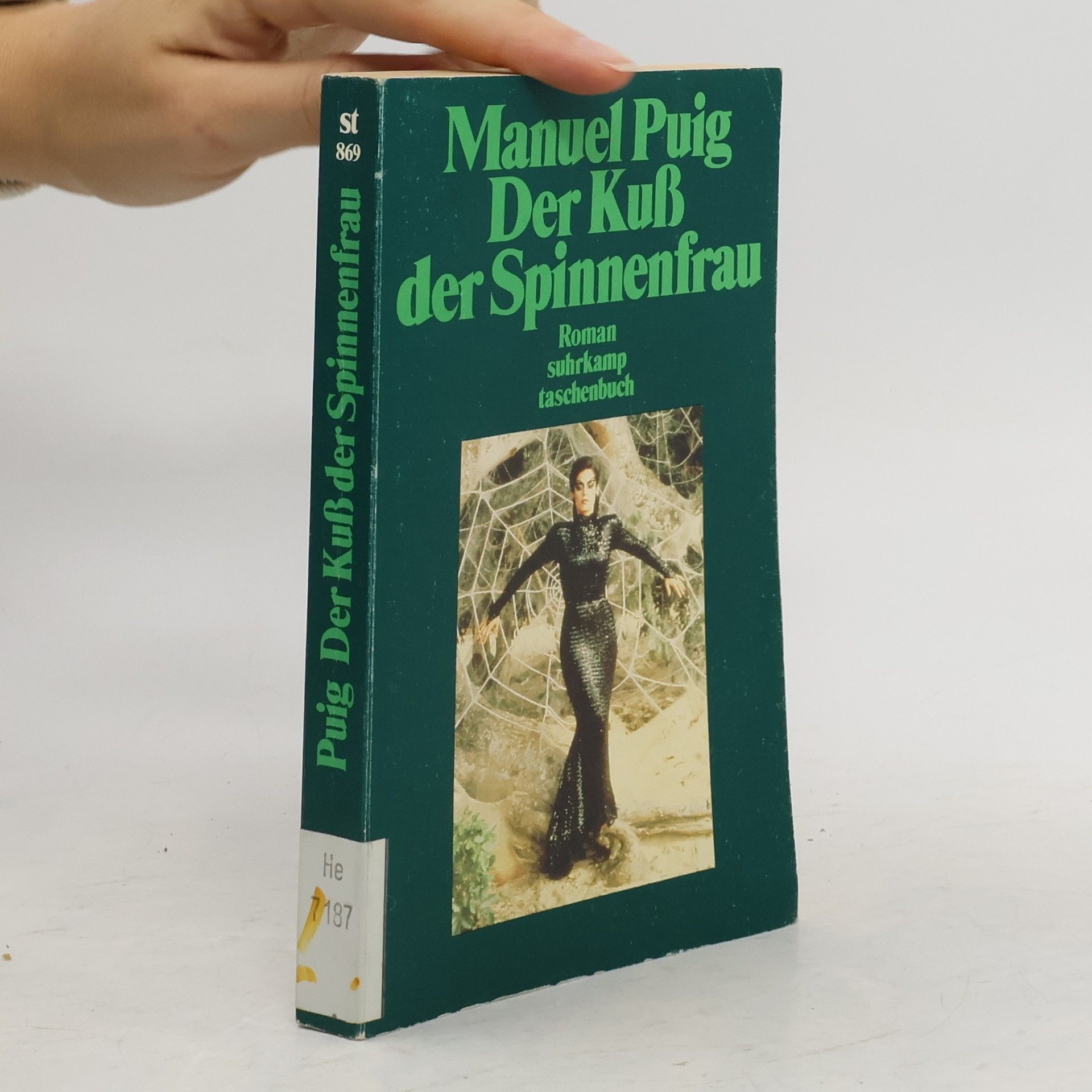 Manuel Puig Der Kuss der Spinnenfrau