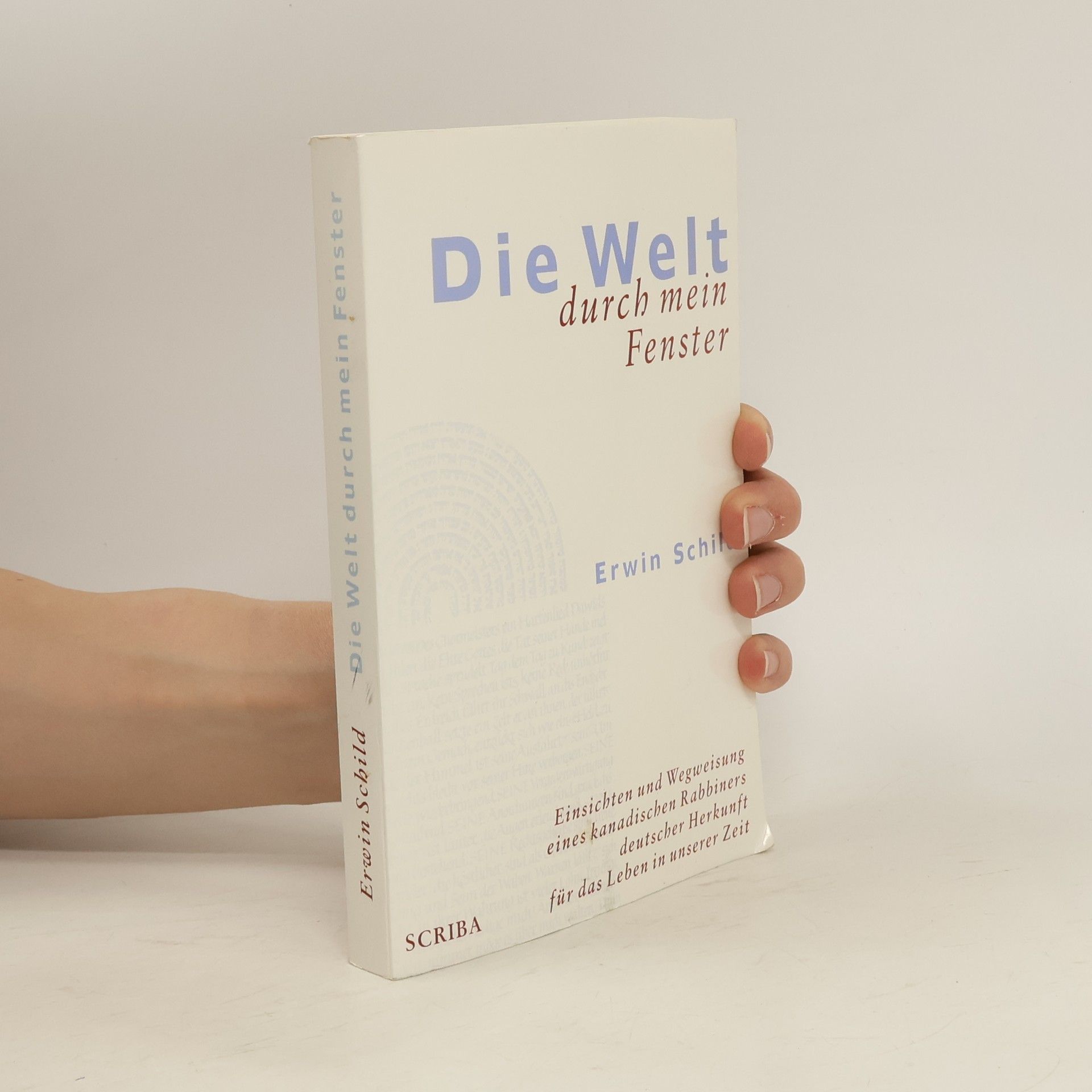 Erwin Schild Die Welt durch mein Fenster