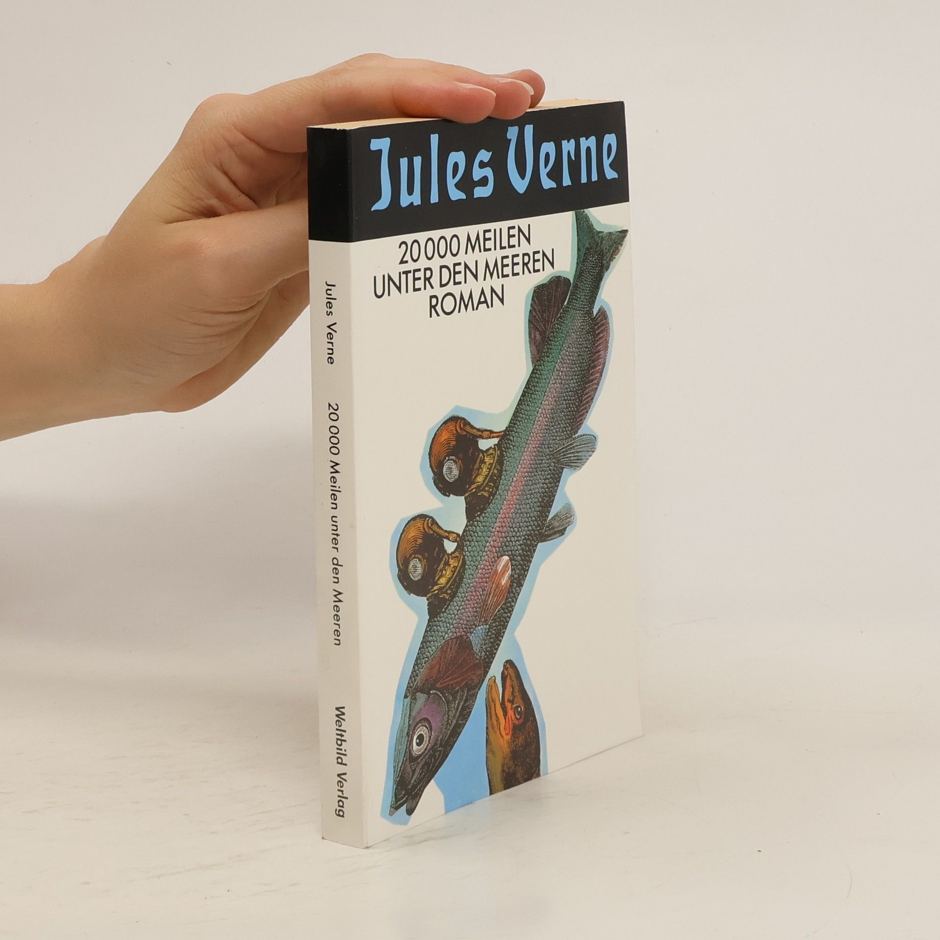 Jules Verne Reise um die Erde in 80 Tagen