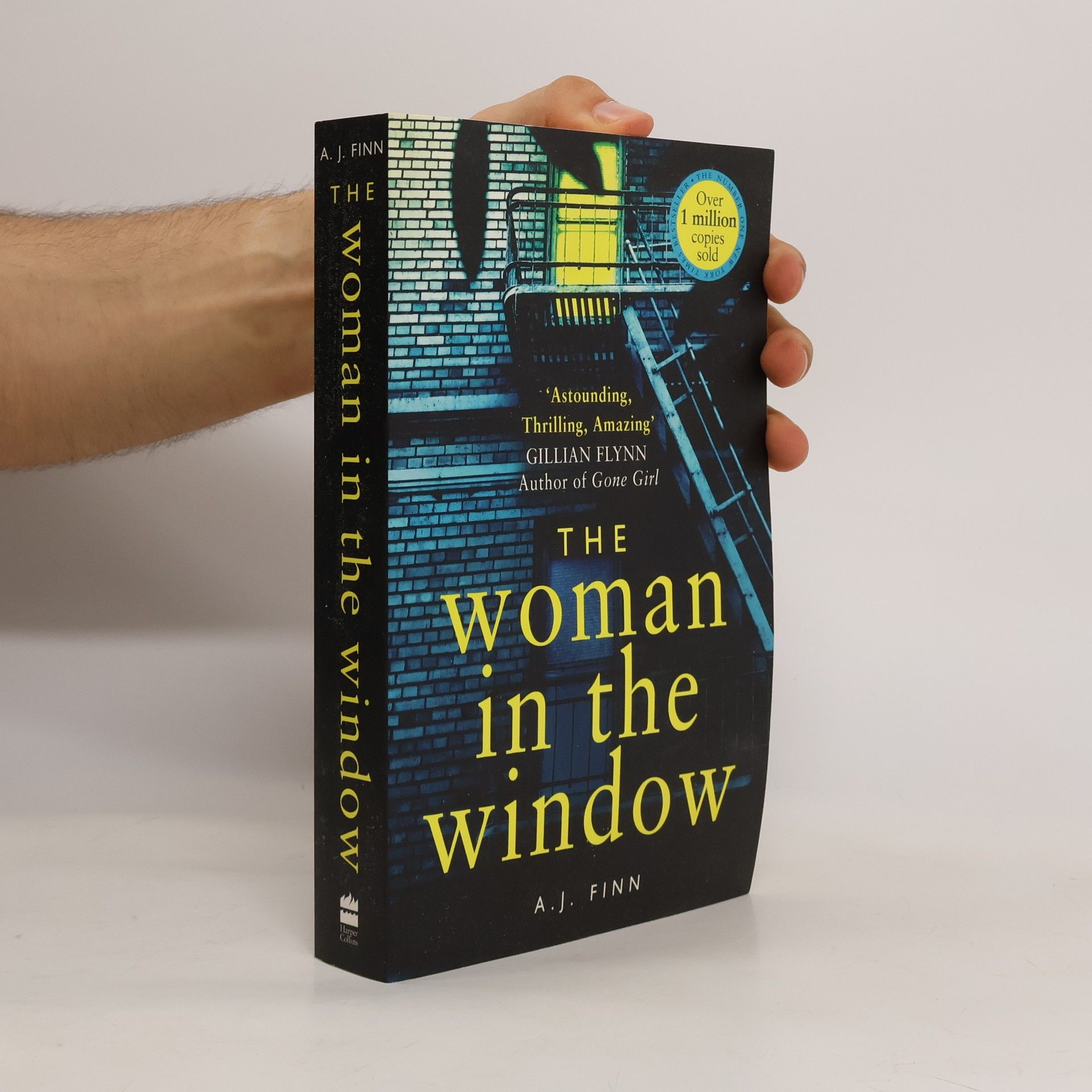 Daniel Mallory The woman in the window