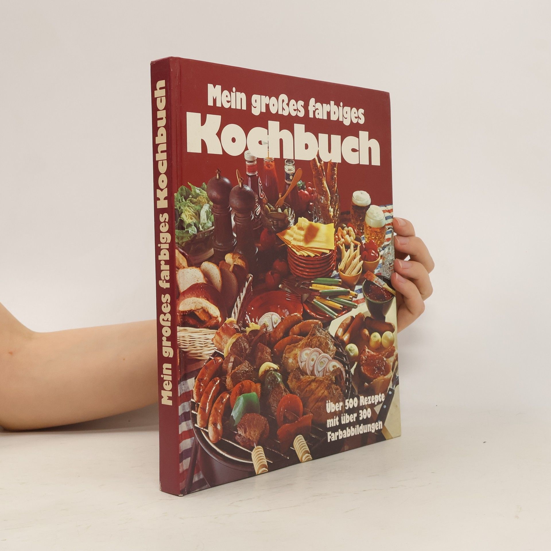 Katrin Gerlach Mein großes farbiges Kochbuch