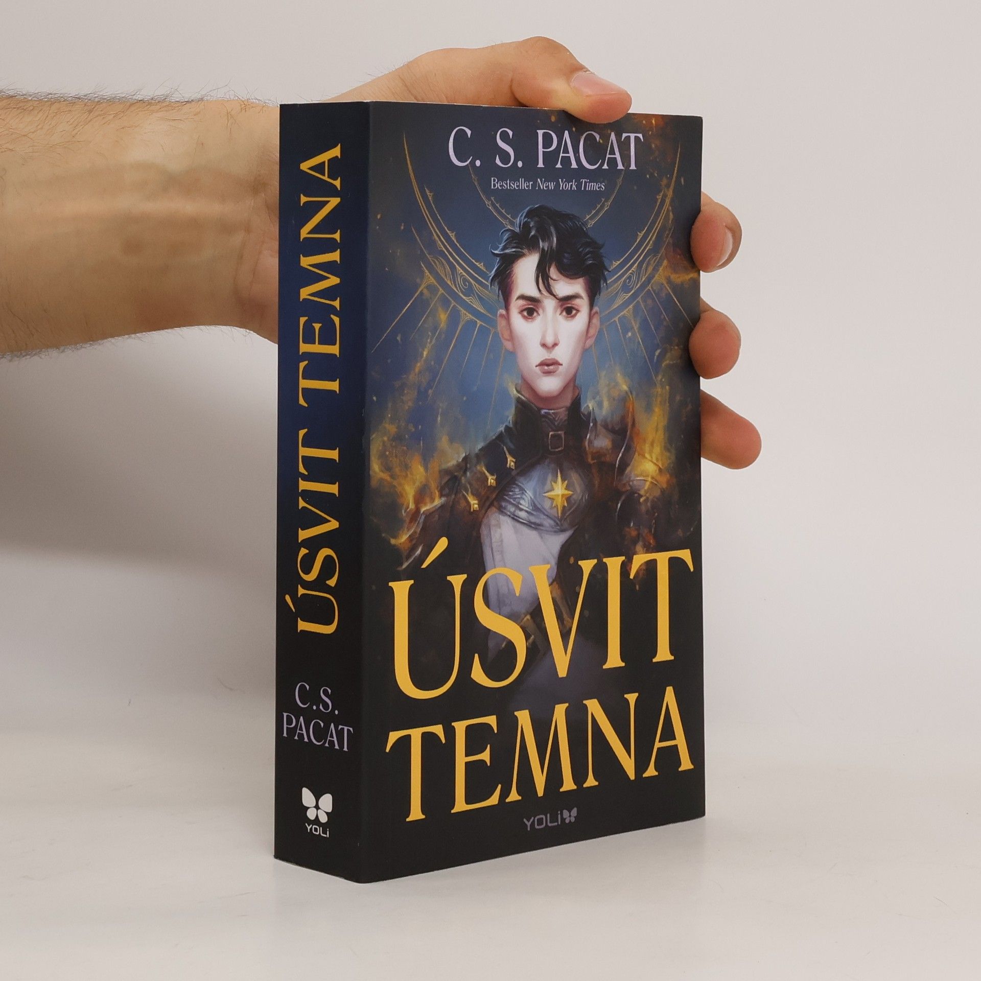 C. S. Pacat Úsvit temna