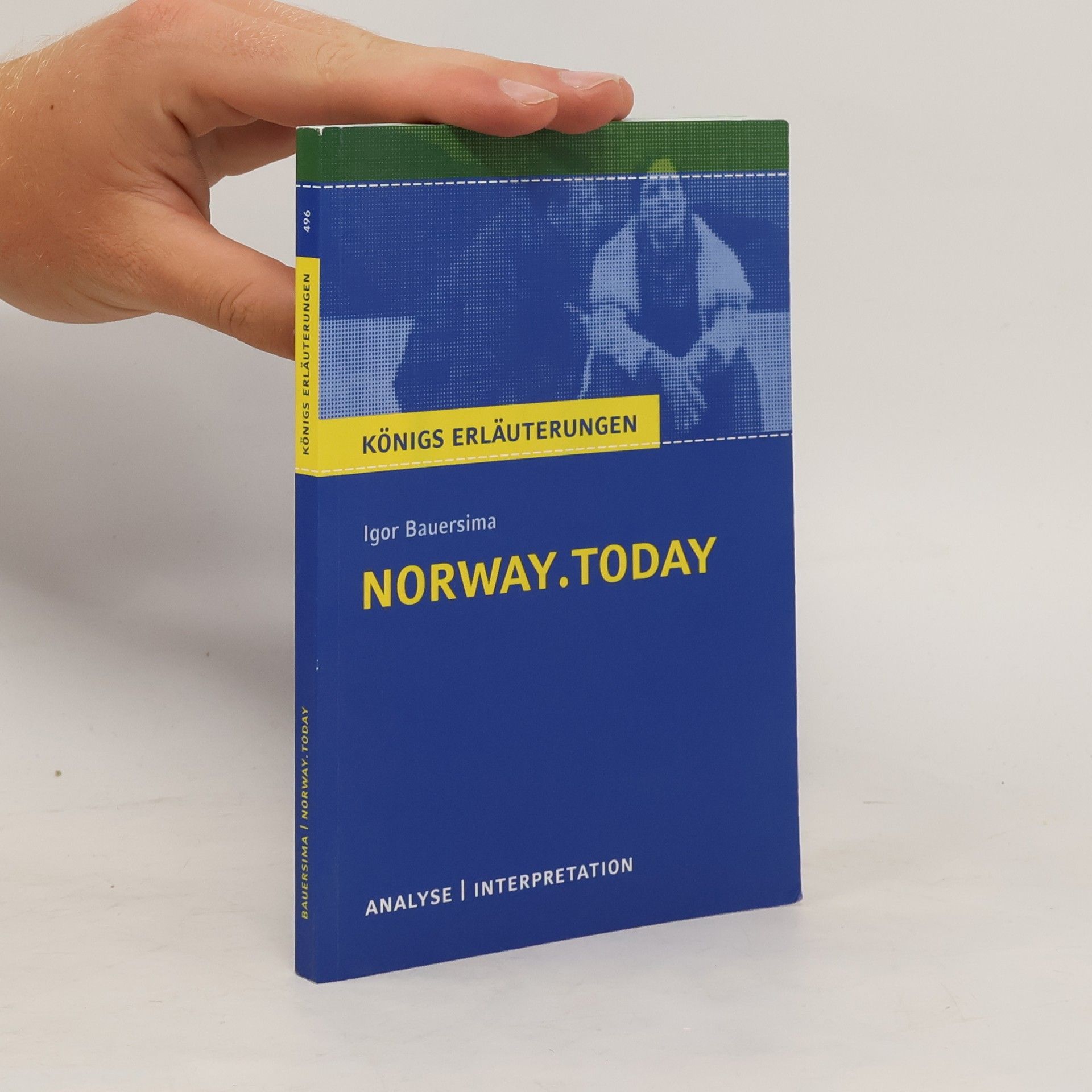 Daniel Rothenbühler Textanalyse und Interpretation zu Igor Bauersima, Norway.today