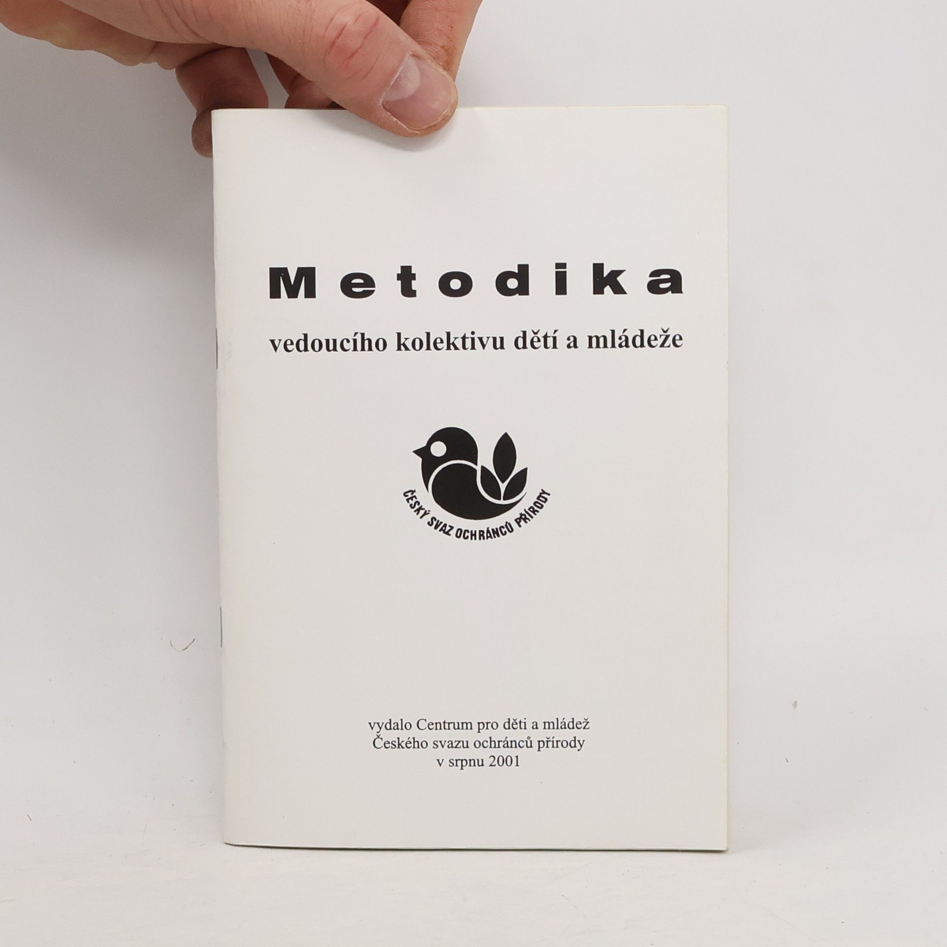 Michal Kulík Metodika vedoucího kolektivu dětí a mládeže