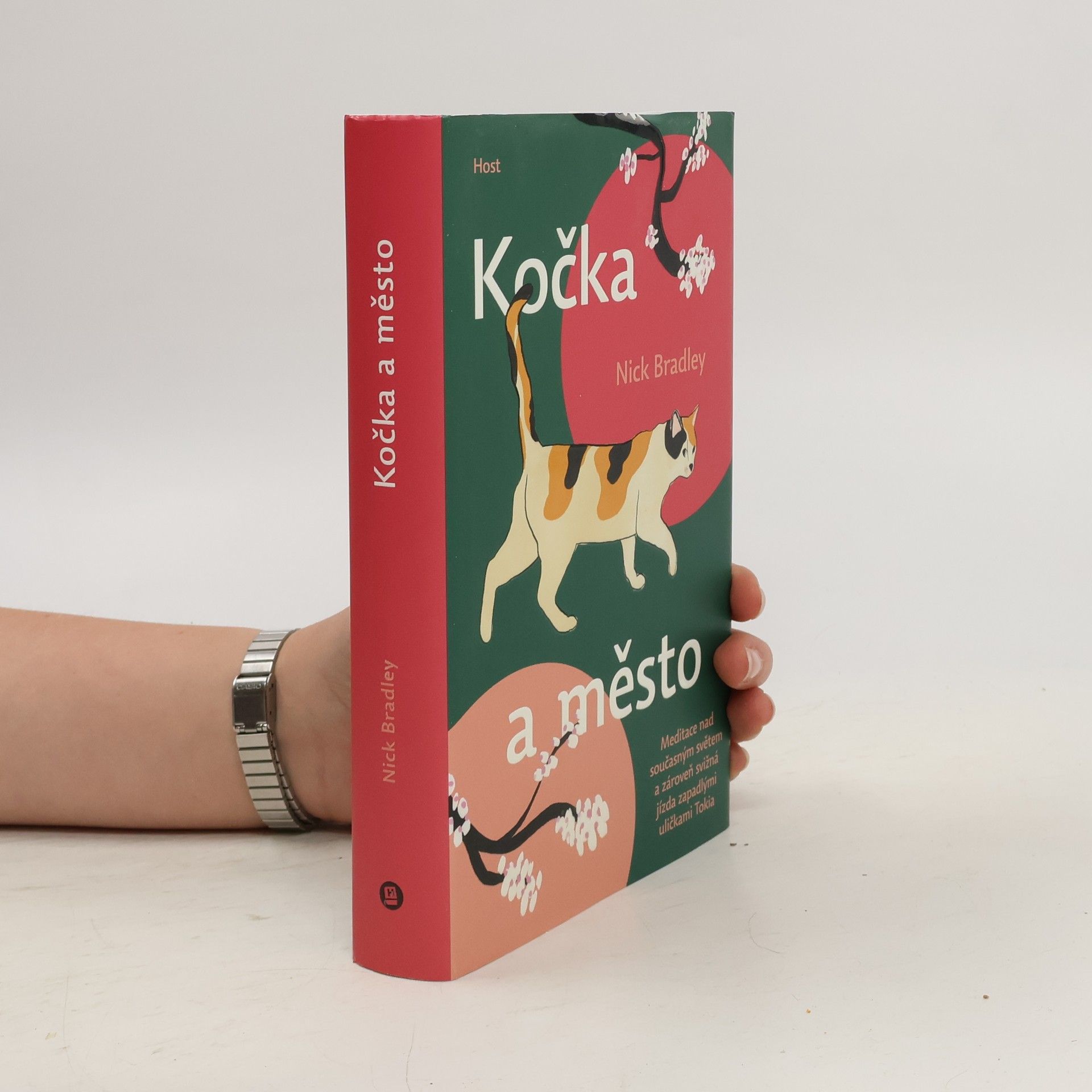 Nick Bradley Kočka a město
