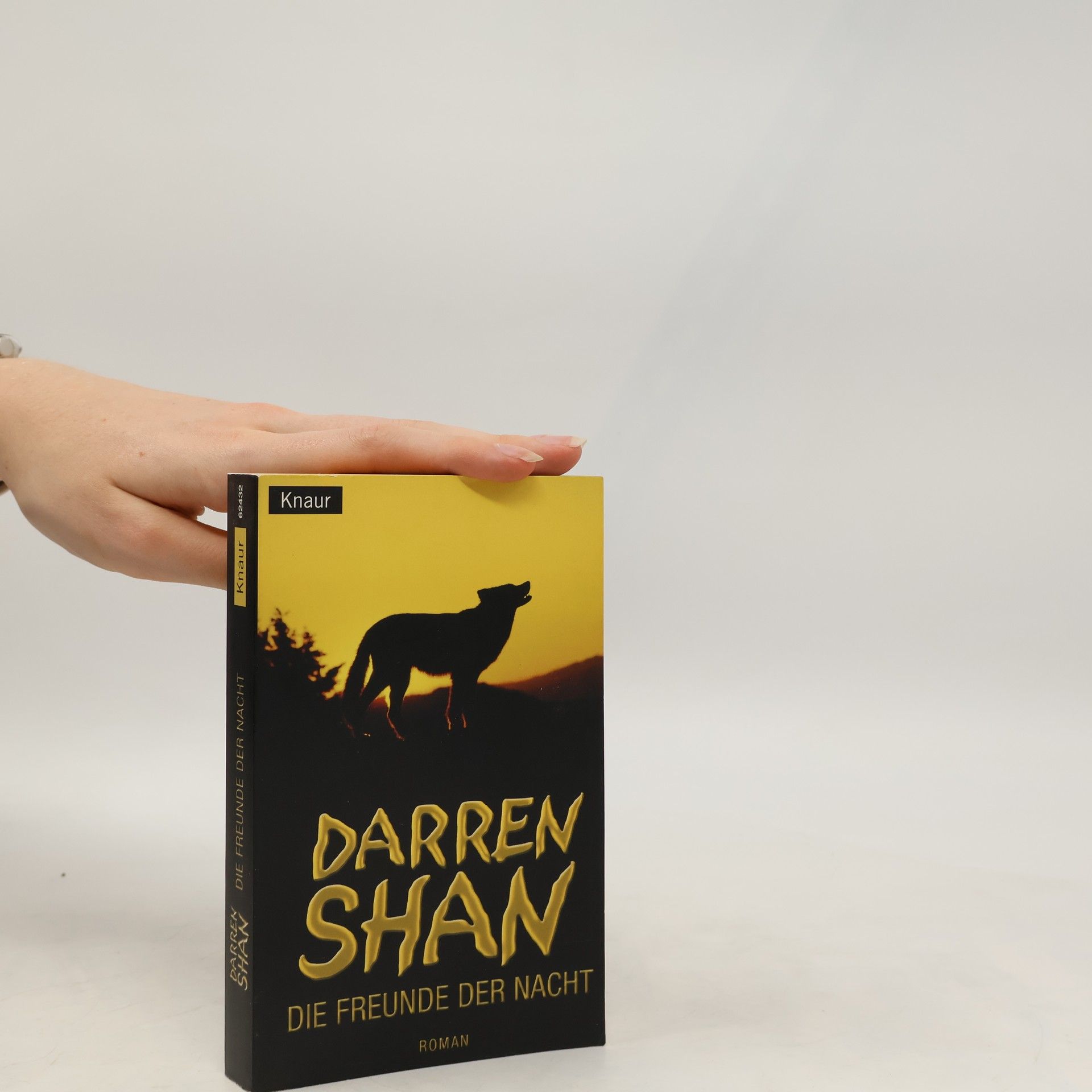 Darren O. Shaughnessy Die Freunde der Nacht