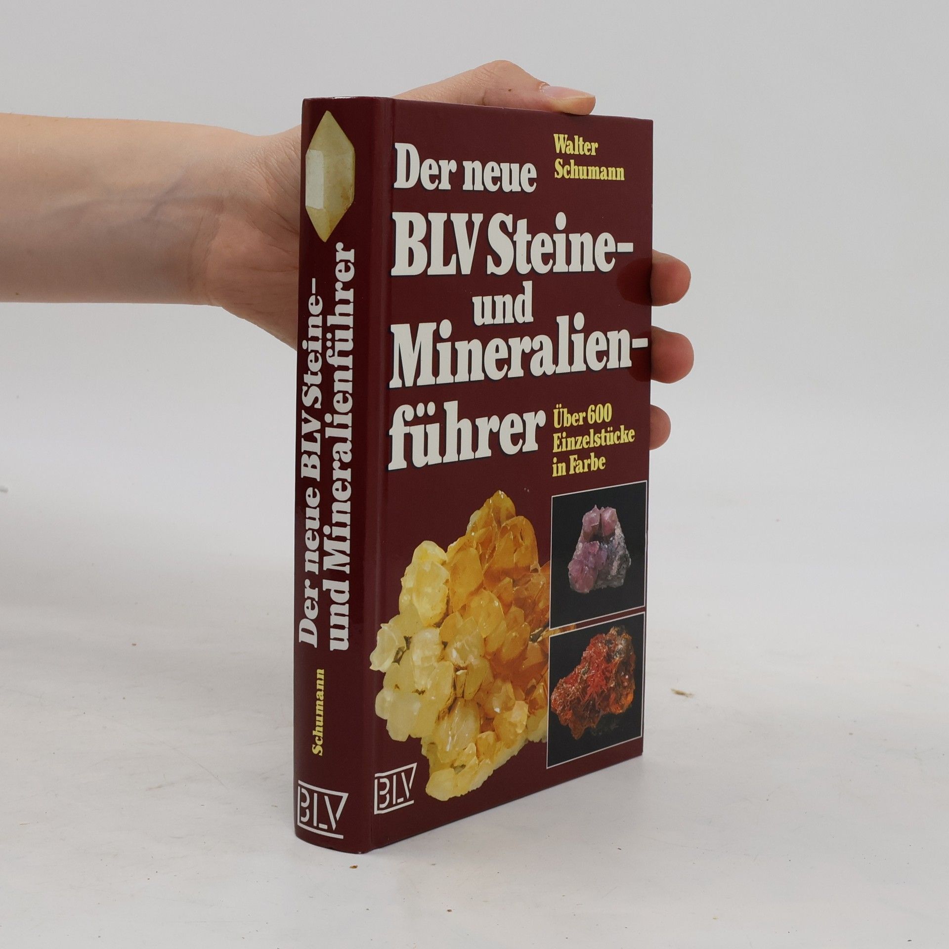 Walter Schumann Der neue BLV-Steine- und Mineralienführer
