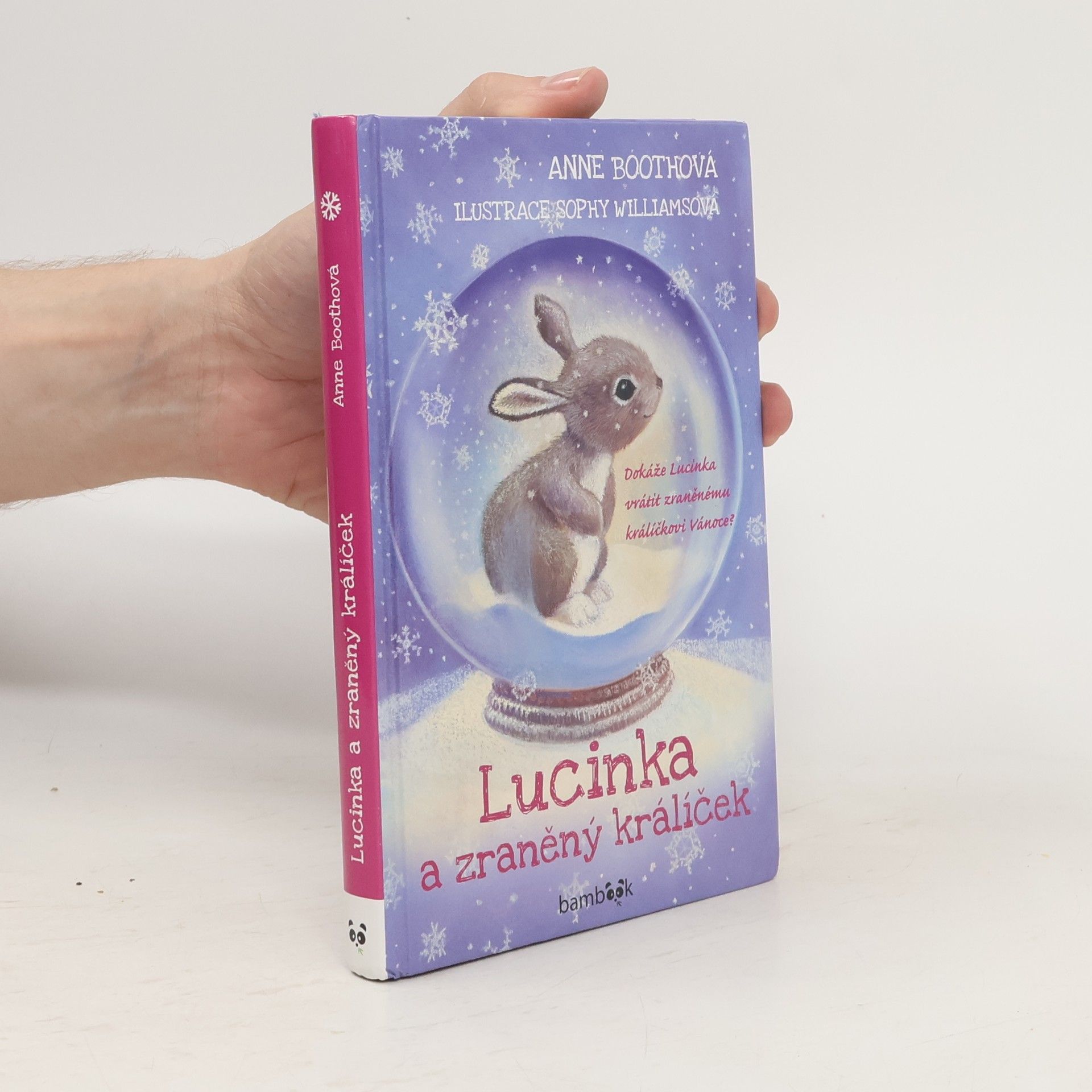 Anne Booth Lucinka a zraněný králíček