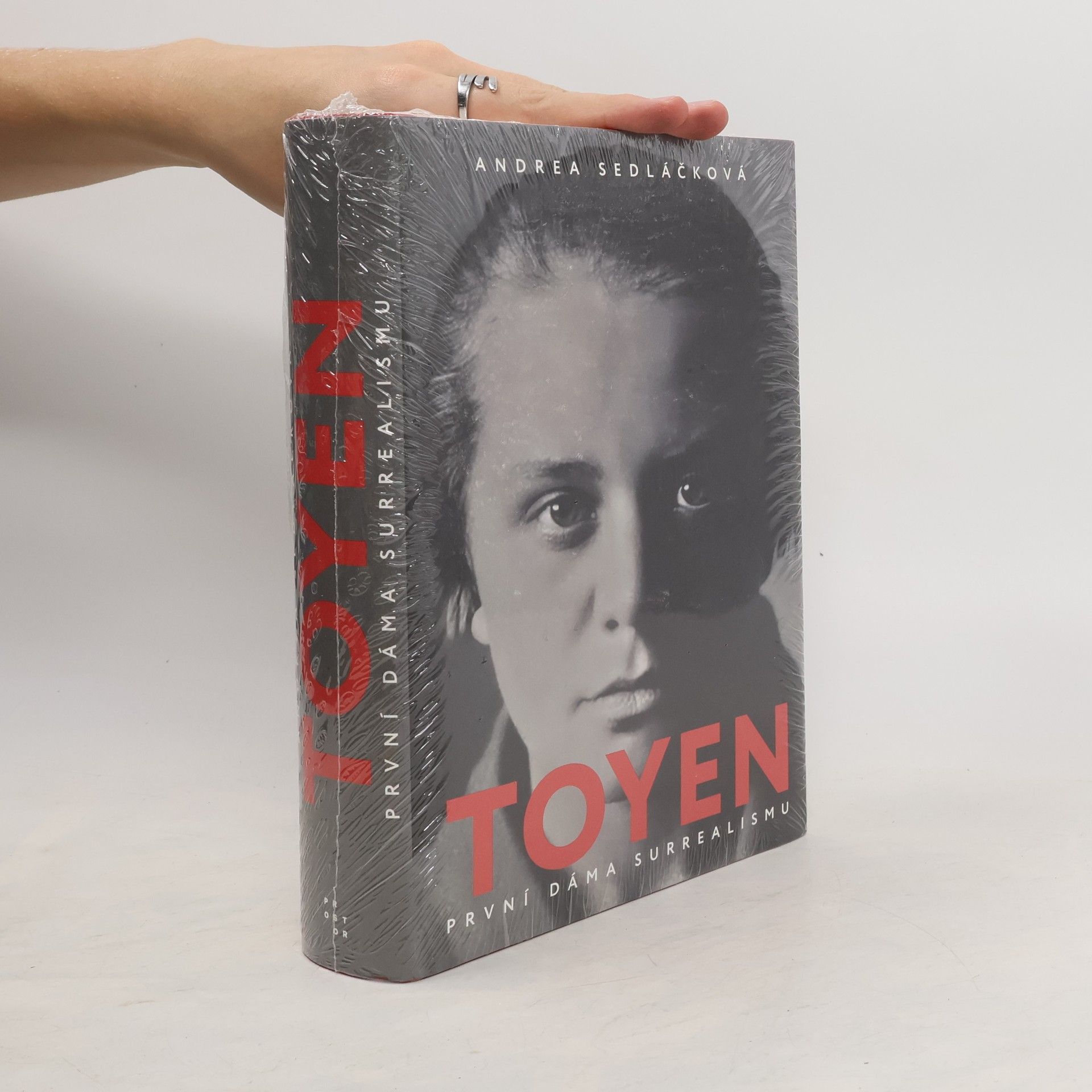 Andrea Sedláčková Toyen: první dáma surrealismu