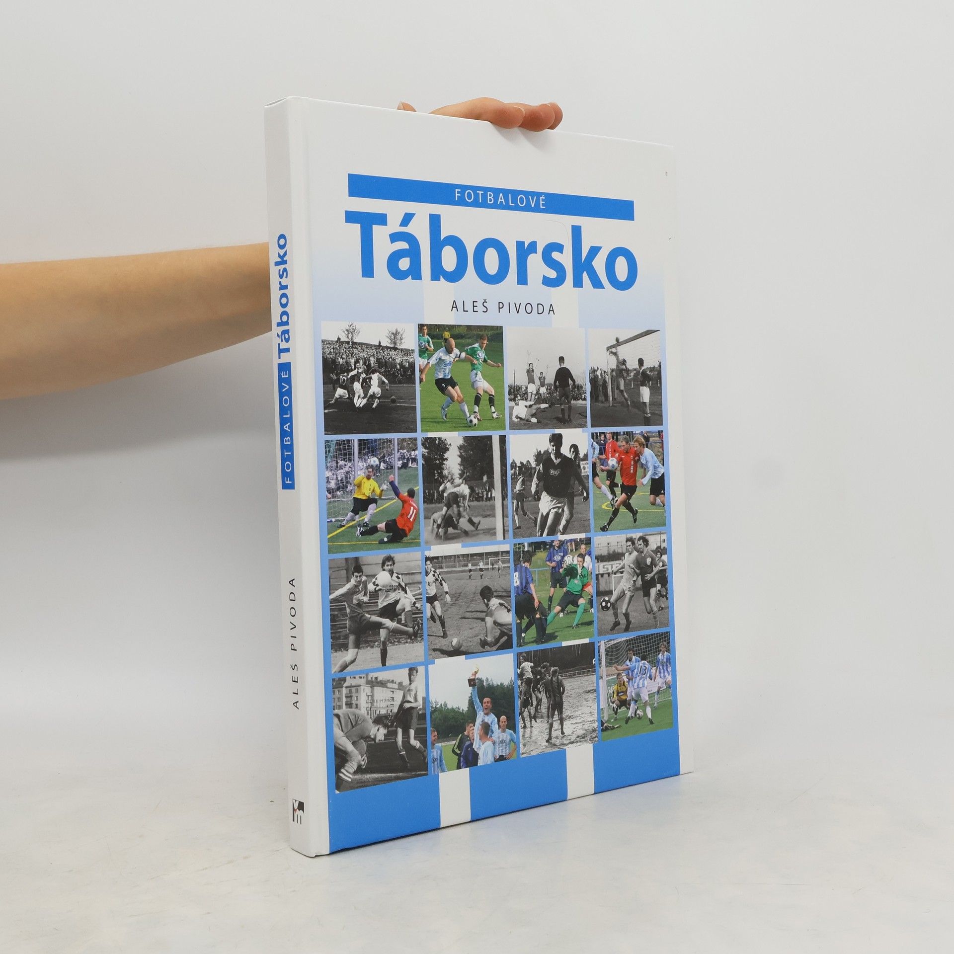 Aleš Pivoda Fotbalové Táborsko