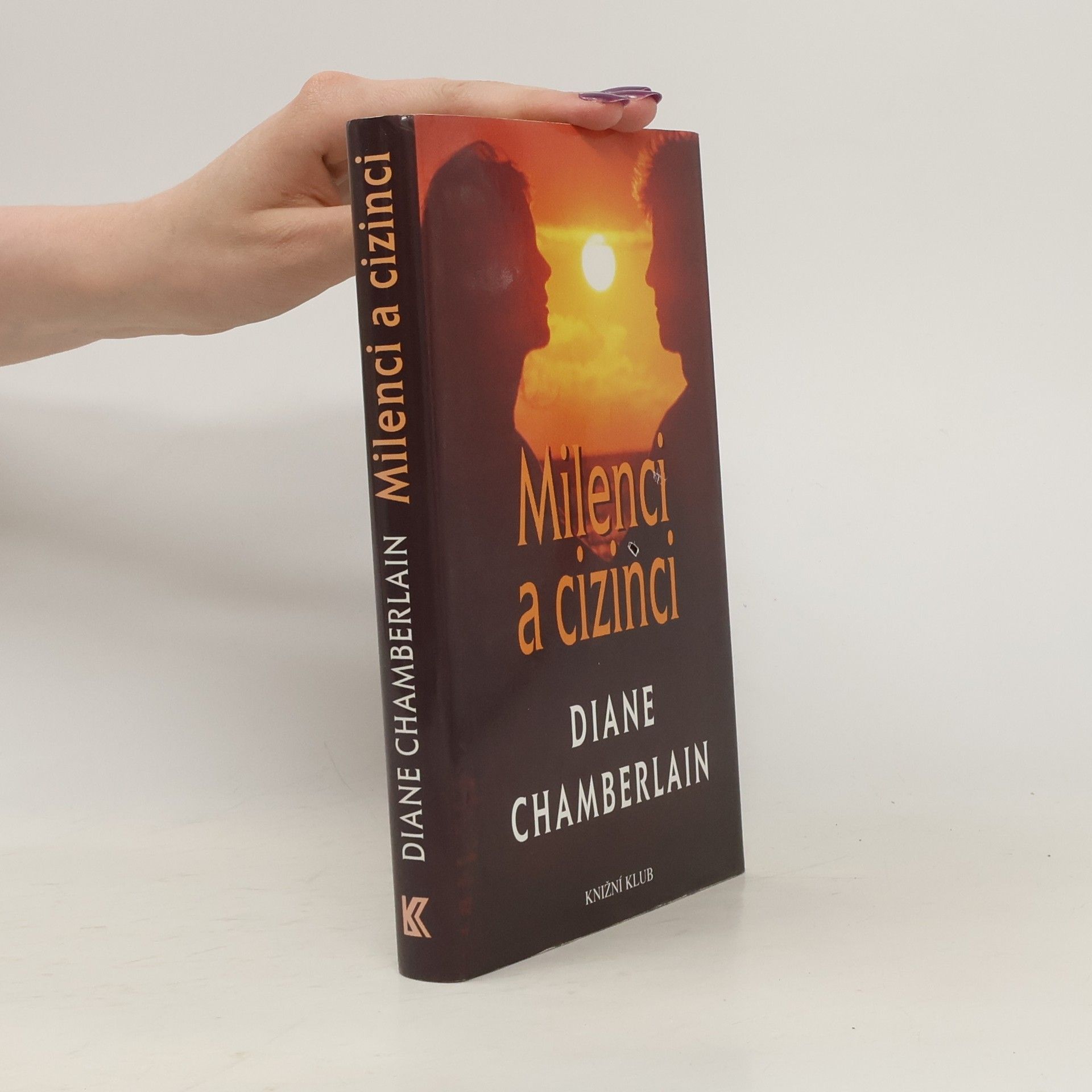 Diane Chamberlain Milenci a cizinci