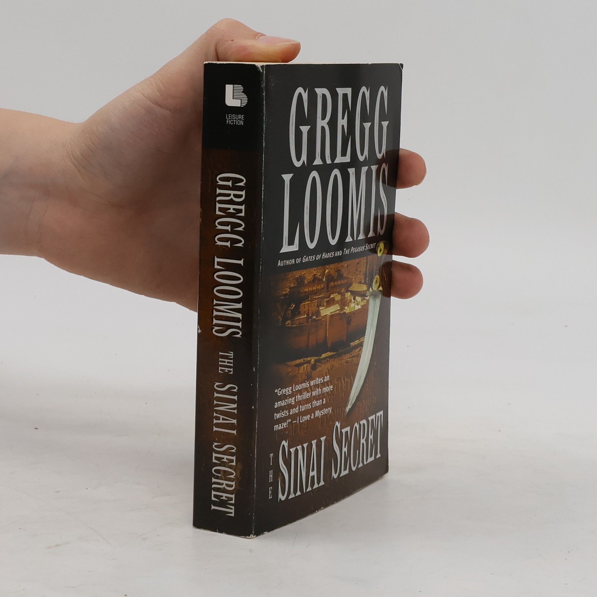 Gregg Loomis The Sinai Secret