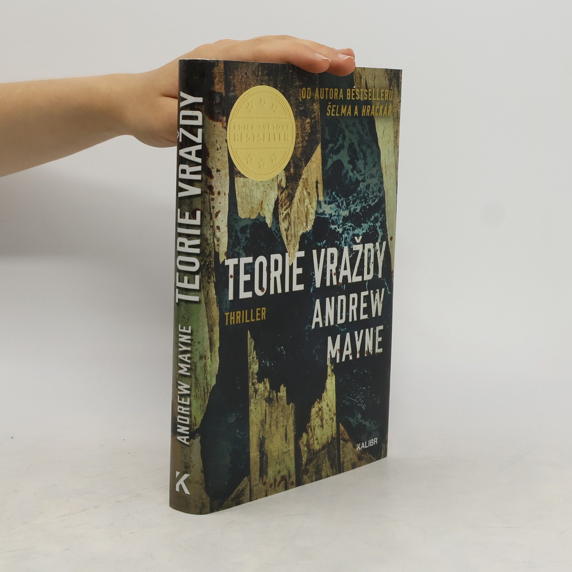 Andrew Mayne Teorie vraždy