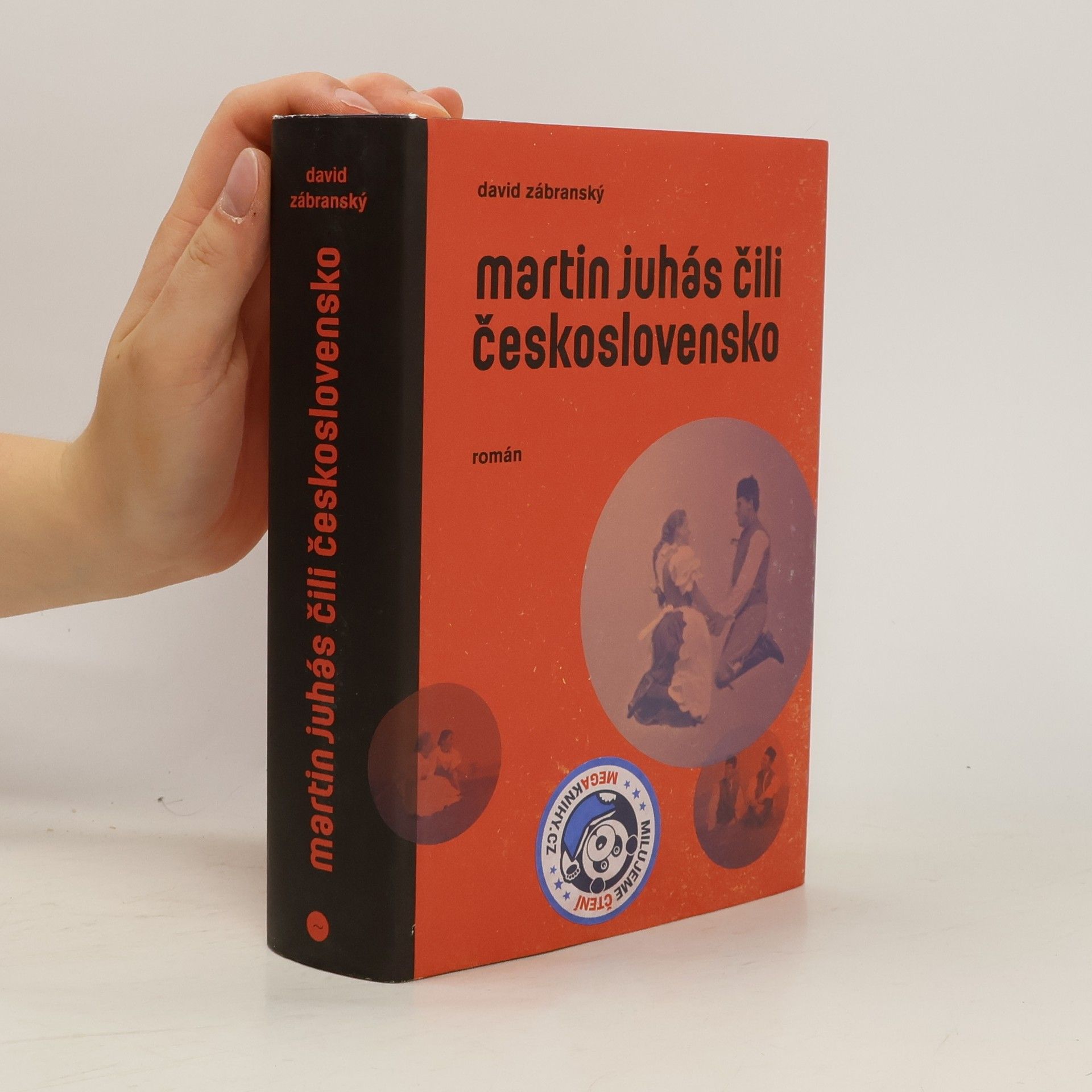 David Zábranský Martin Juhás, čili, Československo : román