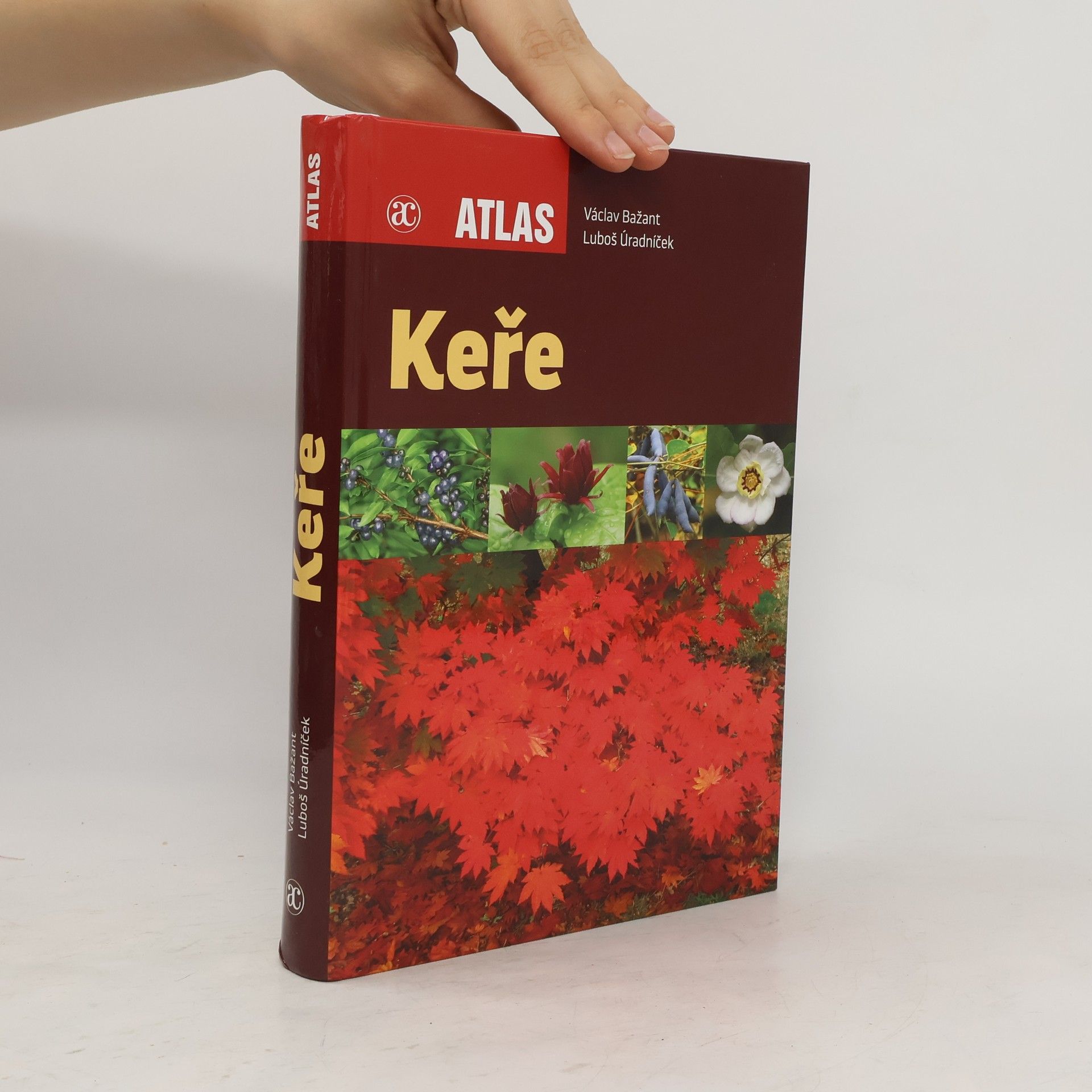 Luboš Úradníček Keře