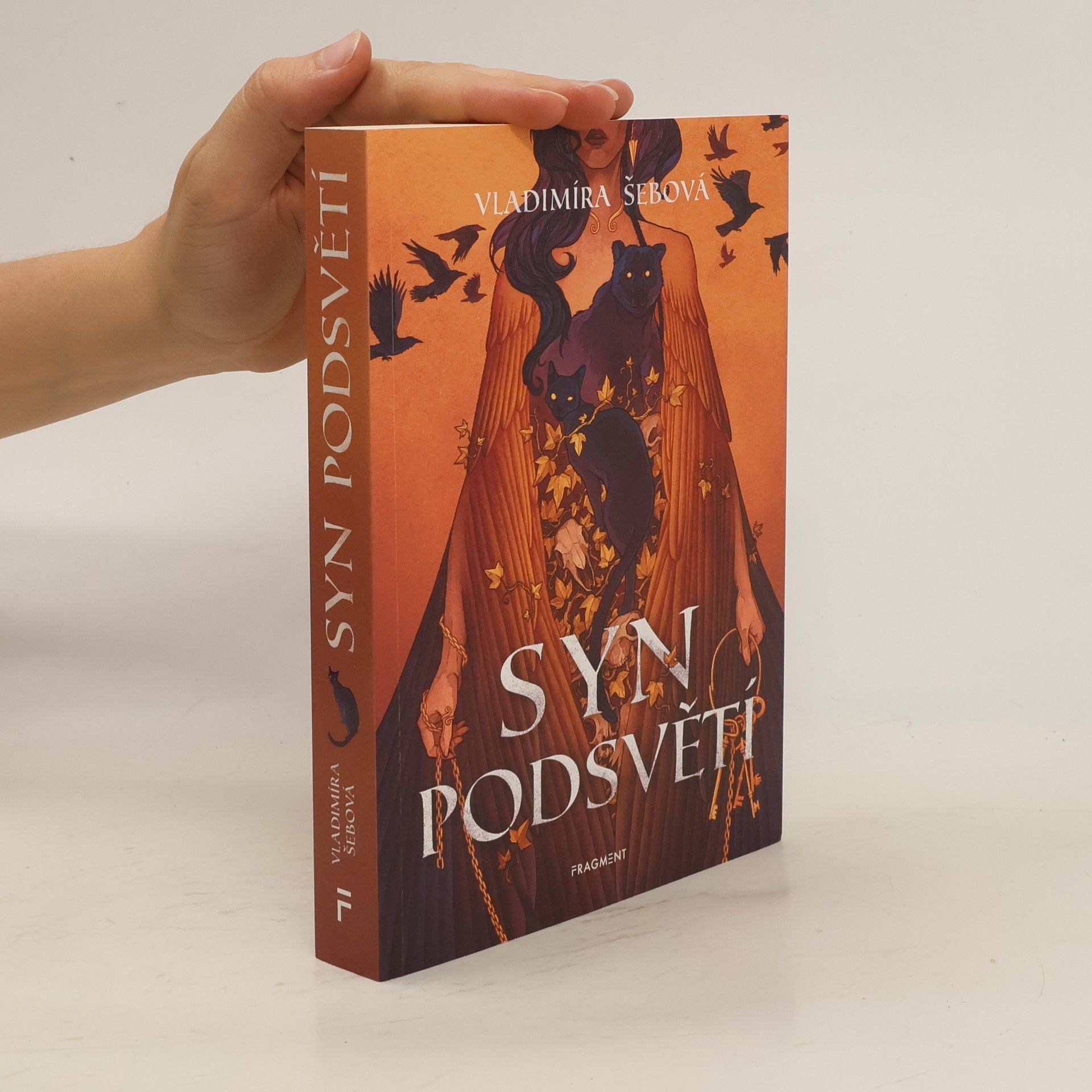 Vladimíra Šebová Syn podsvětí