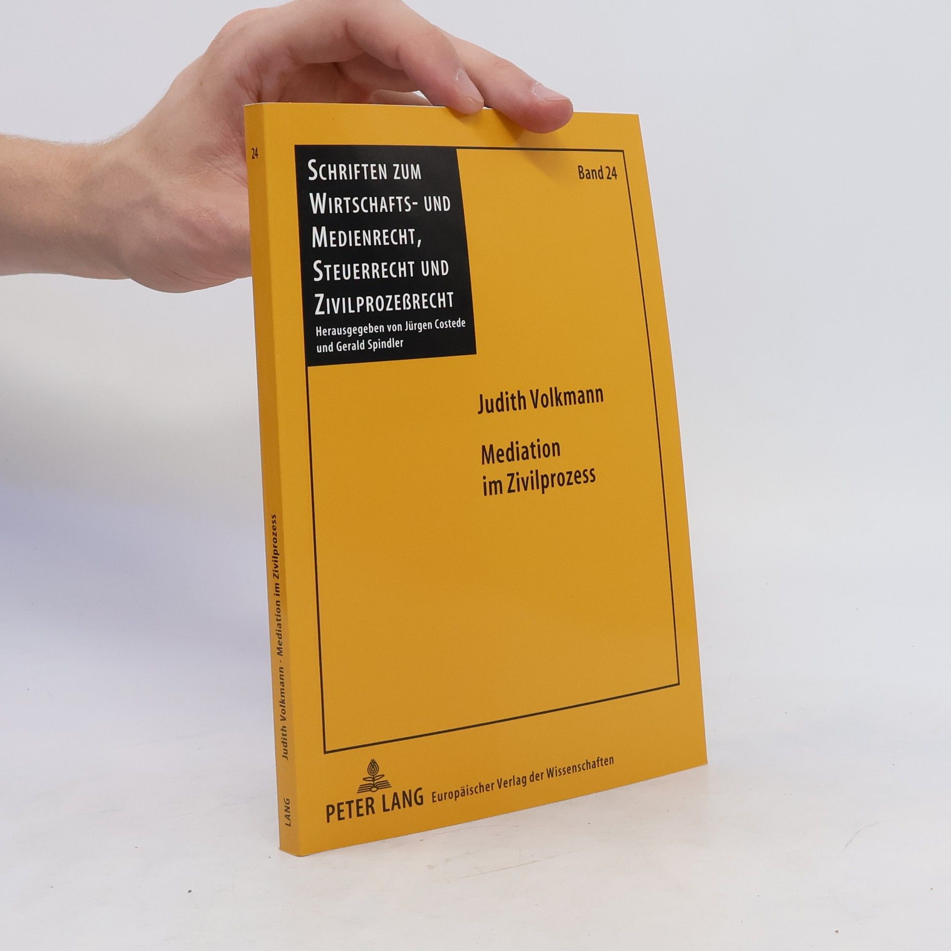 Judith Volkmann Mediation im Zivilprozess