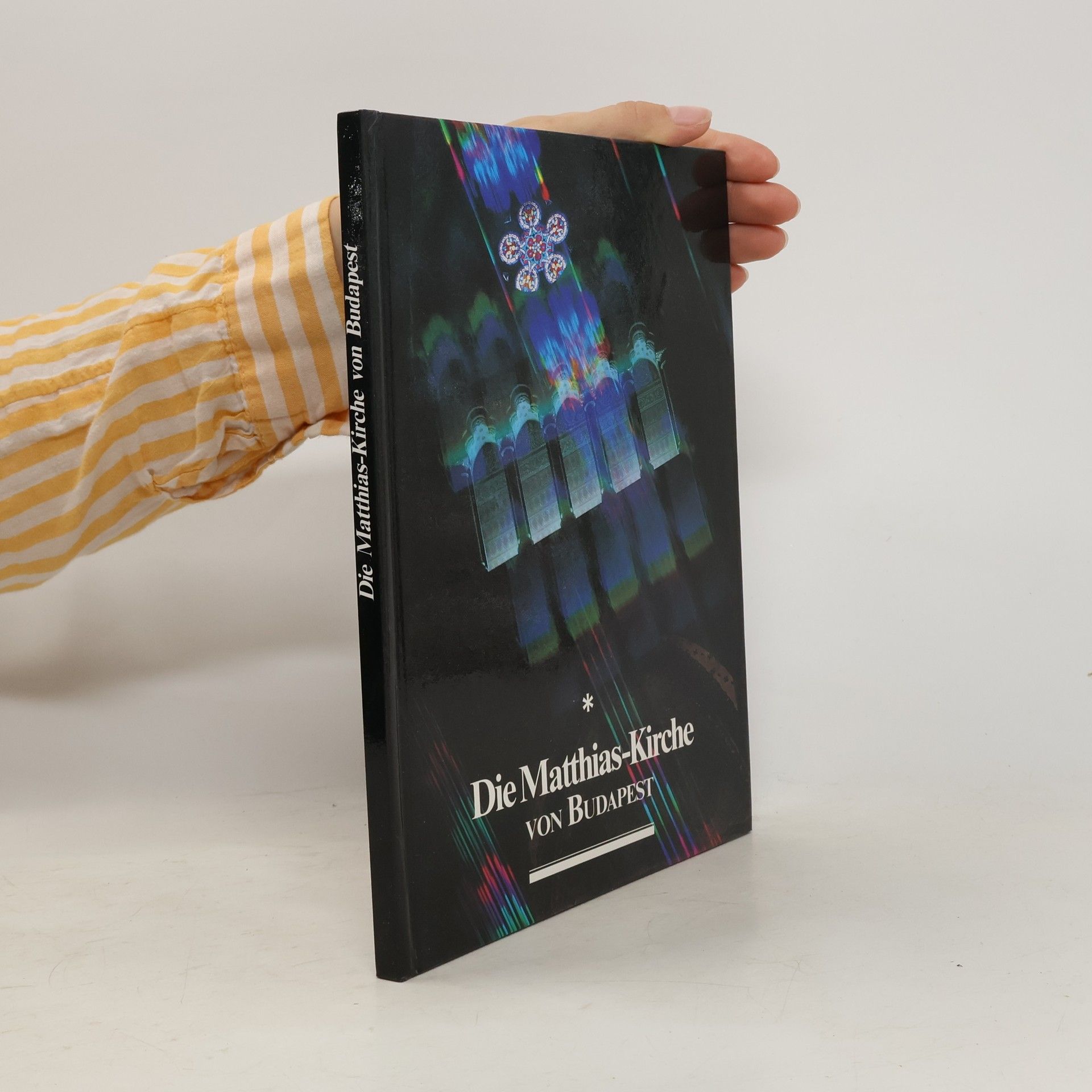 Autorenkollektiv Die Matthias Kirche von Budapest