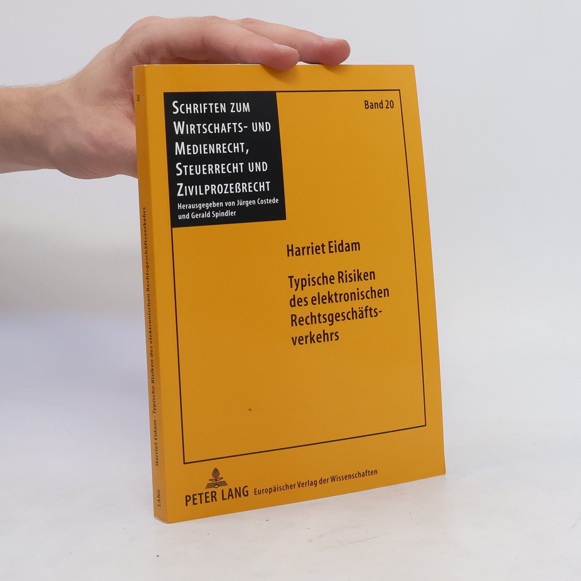 Harriet Eidam Typische Risiken des Elektronischen Rechtsgeschäftsverkehrs