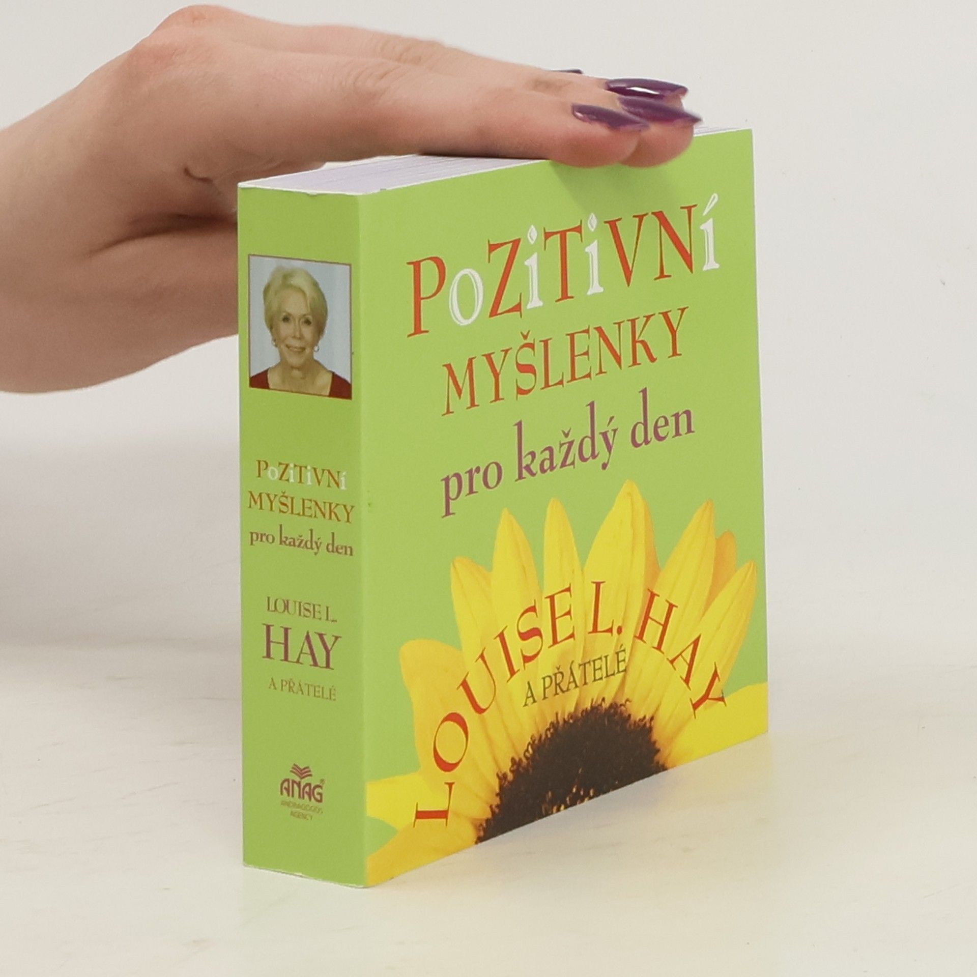 Louise Lynn Hay Pozitivní myšlenky pro každý den