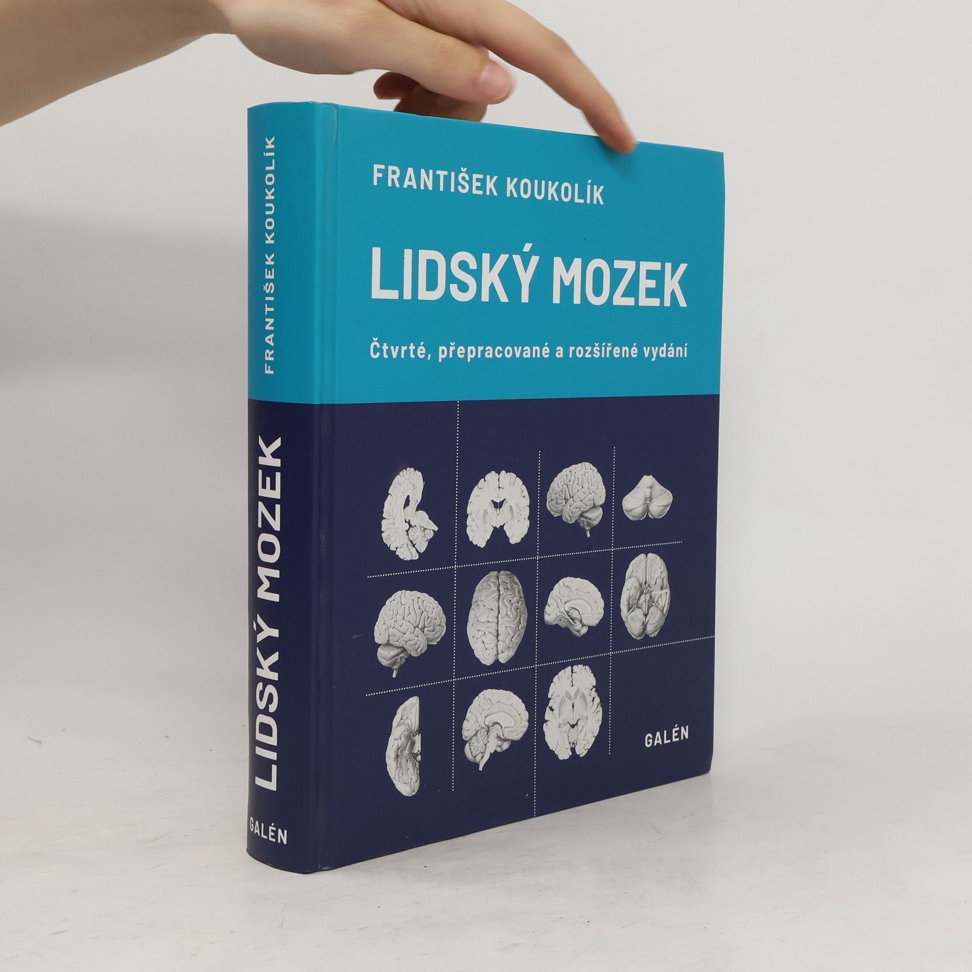 František Koukolík Lidský mozek