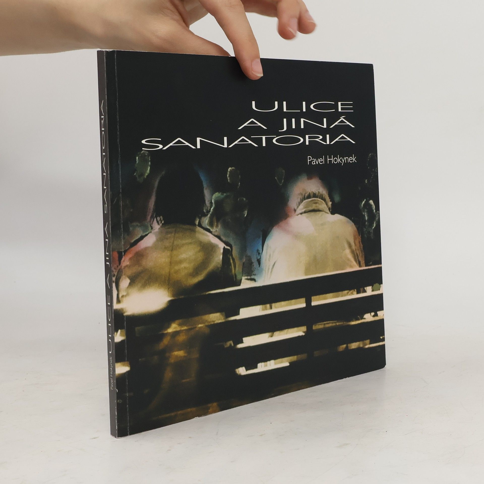 Pavel Hokynek Ulice a jiná sanatoria = Streets and other sanatoria