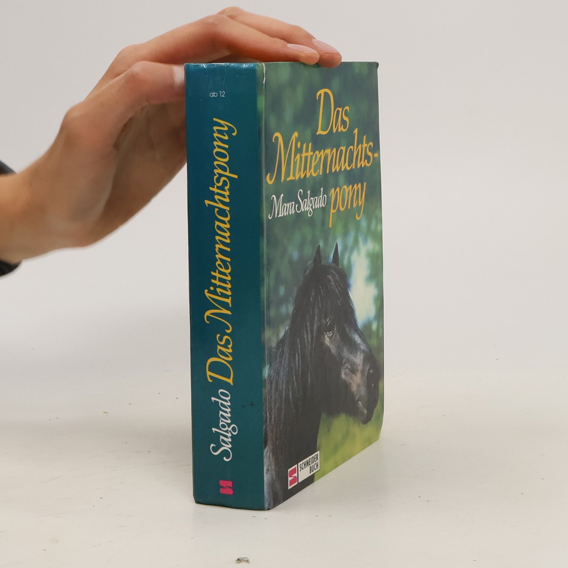 Mara Salgado Das Mitternachtspony