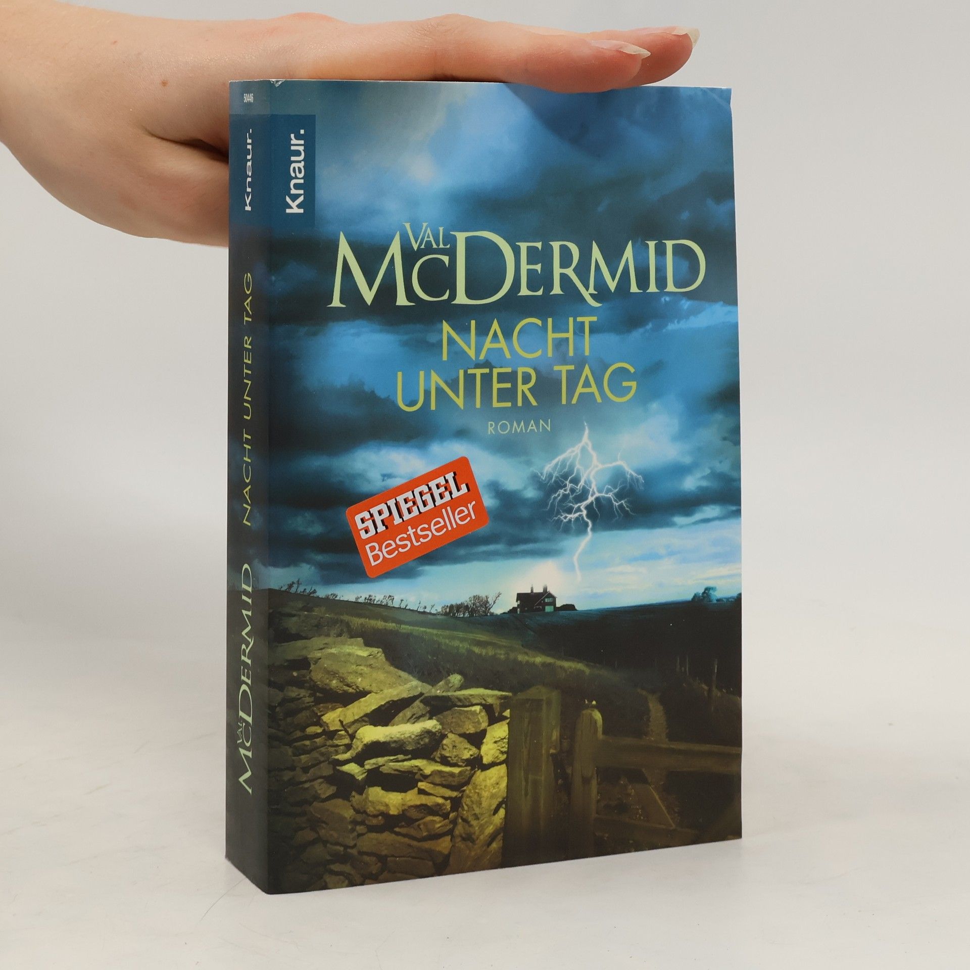 Val McDermid Nacht unter Tag