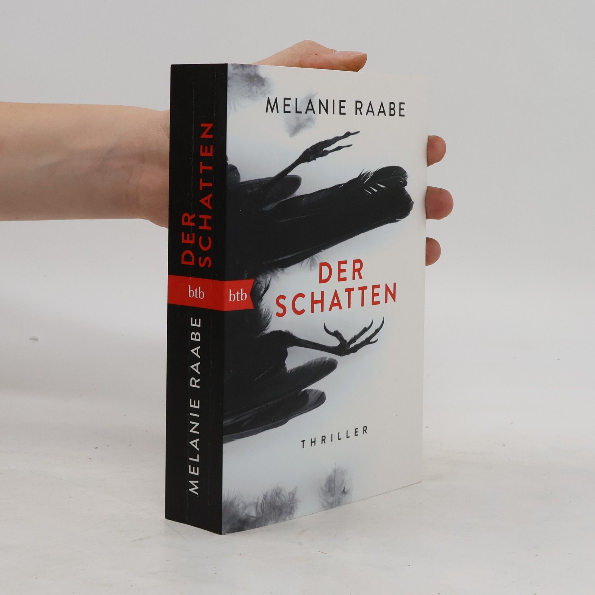Melanie Raabe Der Schatten