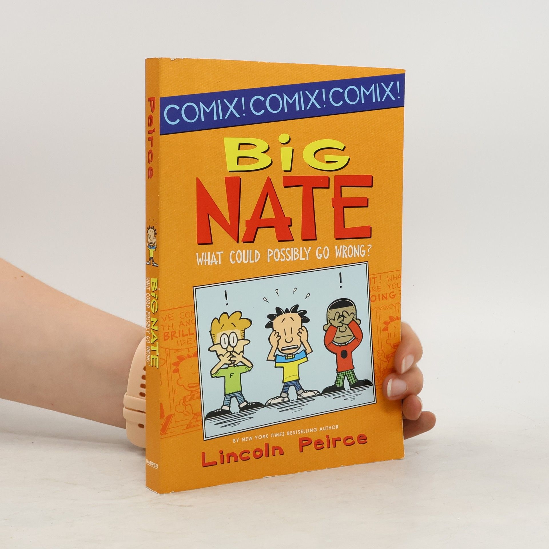 Lincoln Peirce Big Nate: What Could Possibly Go Wrong?
