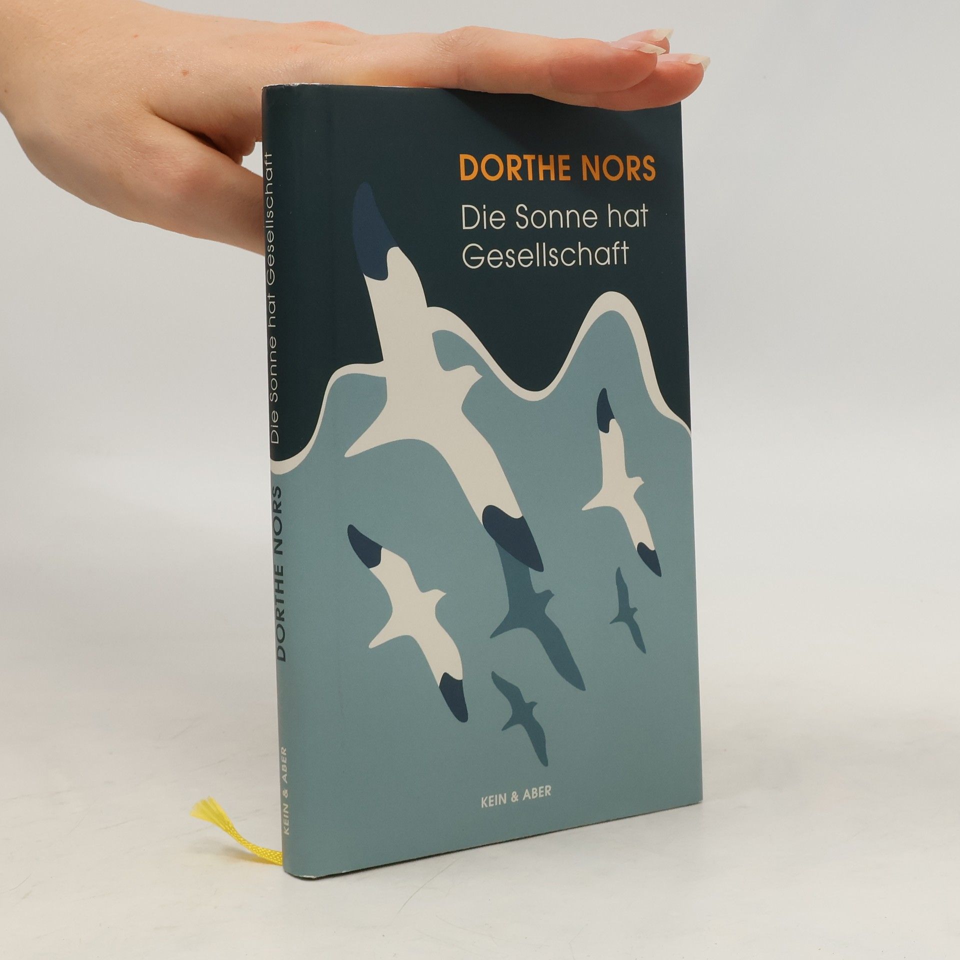 Dorthe Nors Die Sonne hat Gesellschaft