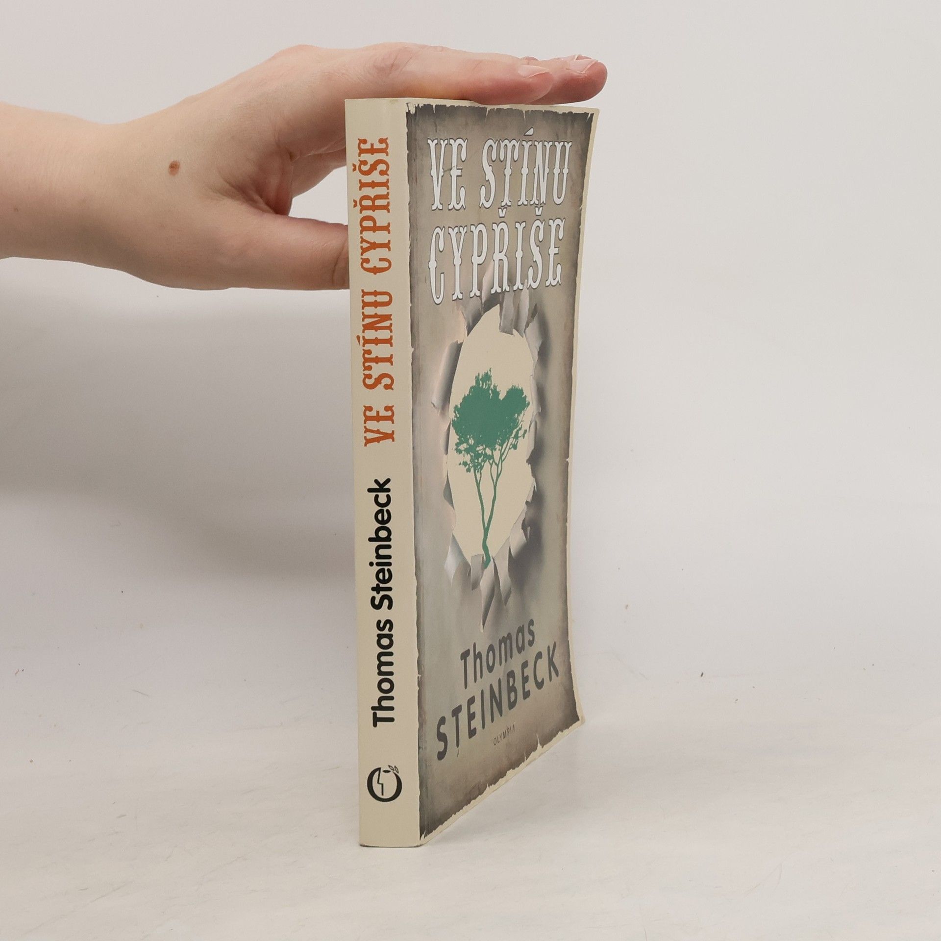 Thomas Steinbeck Ve stínu cypřiše