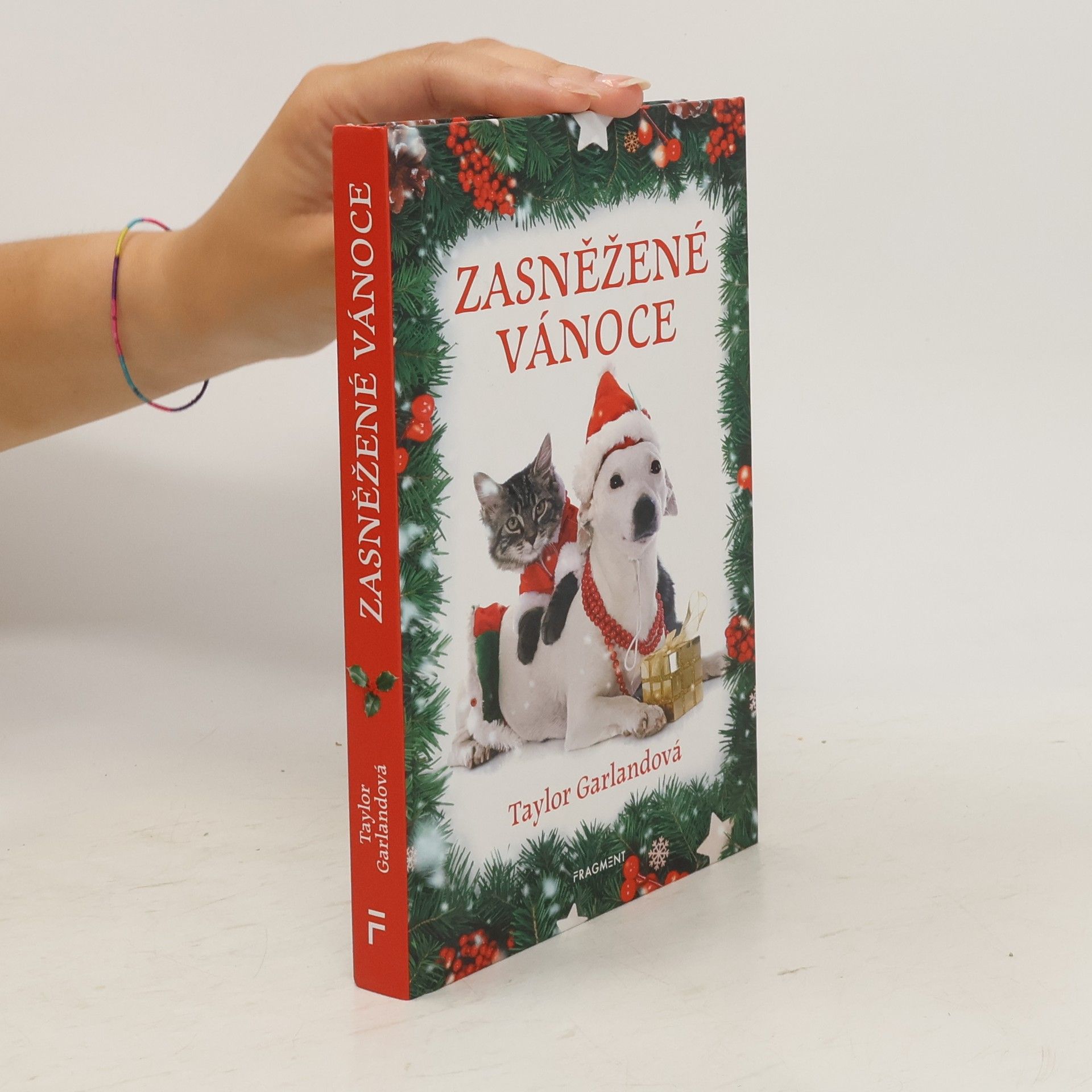 Zasněžené Vánoce