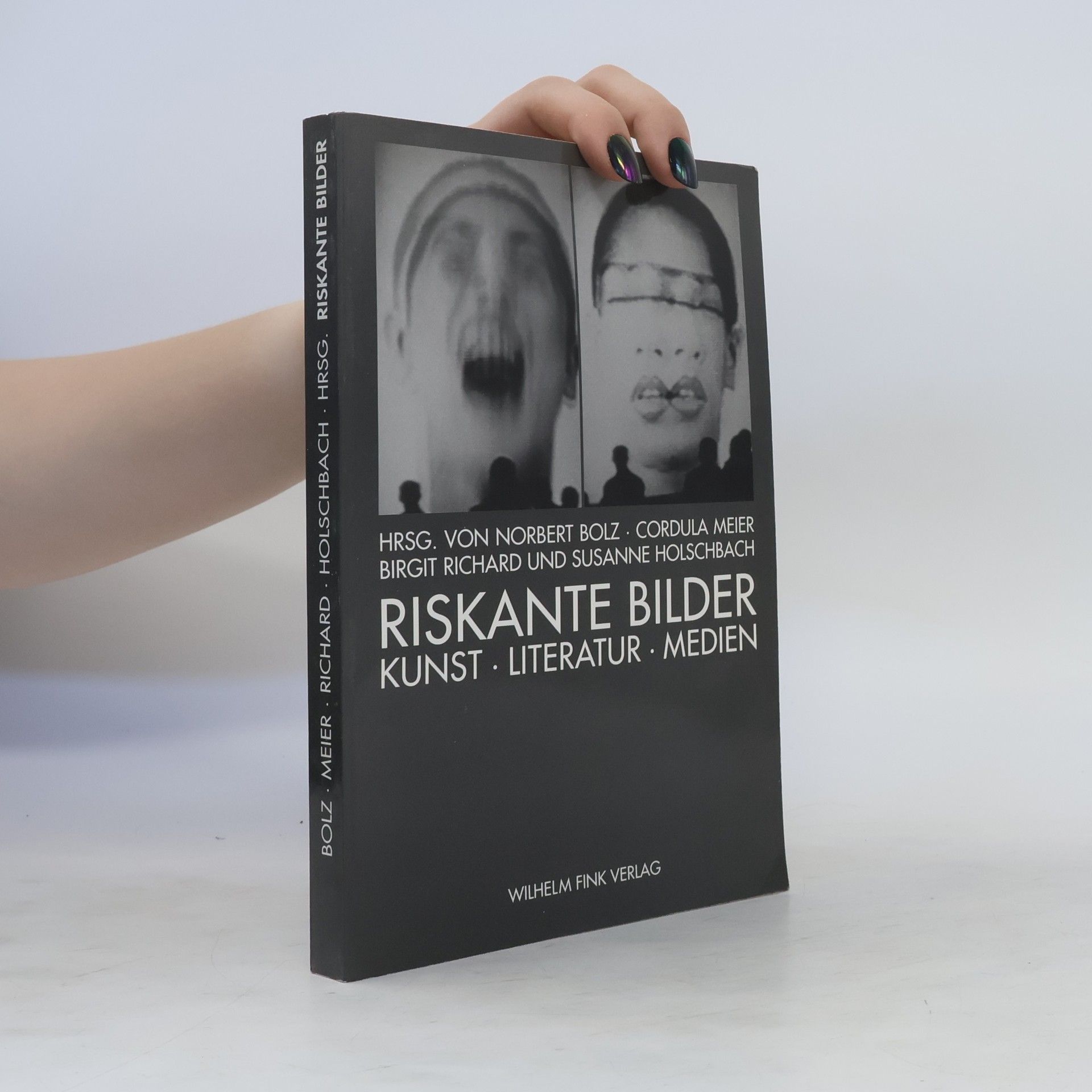 Norbert Bolz Riskante Bilder