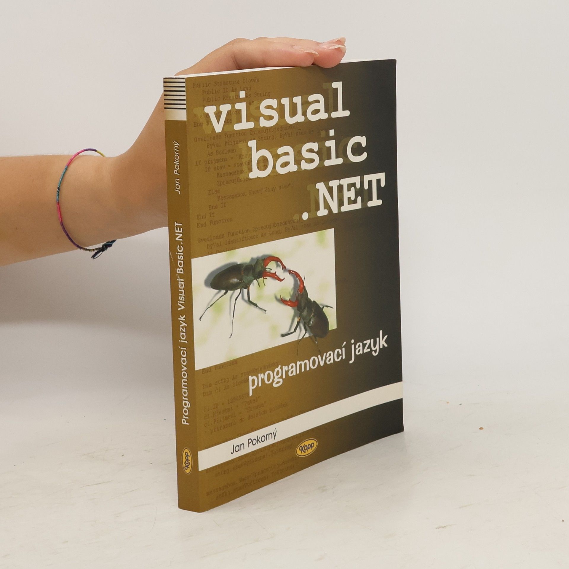 Jan Pokorný Visual basic .NET. Programovací jazyk.