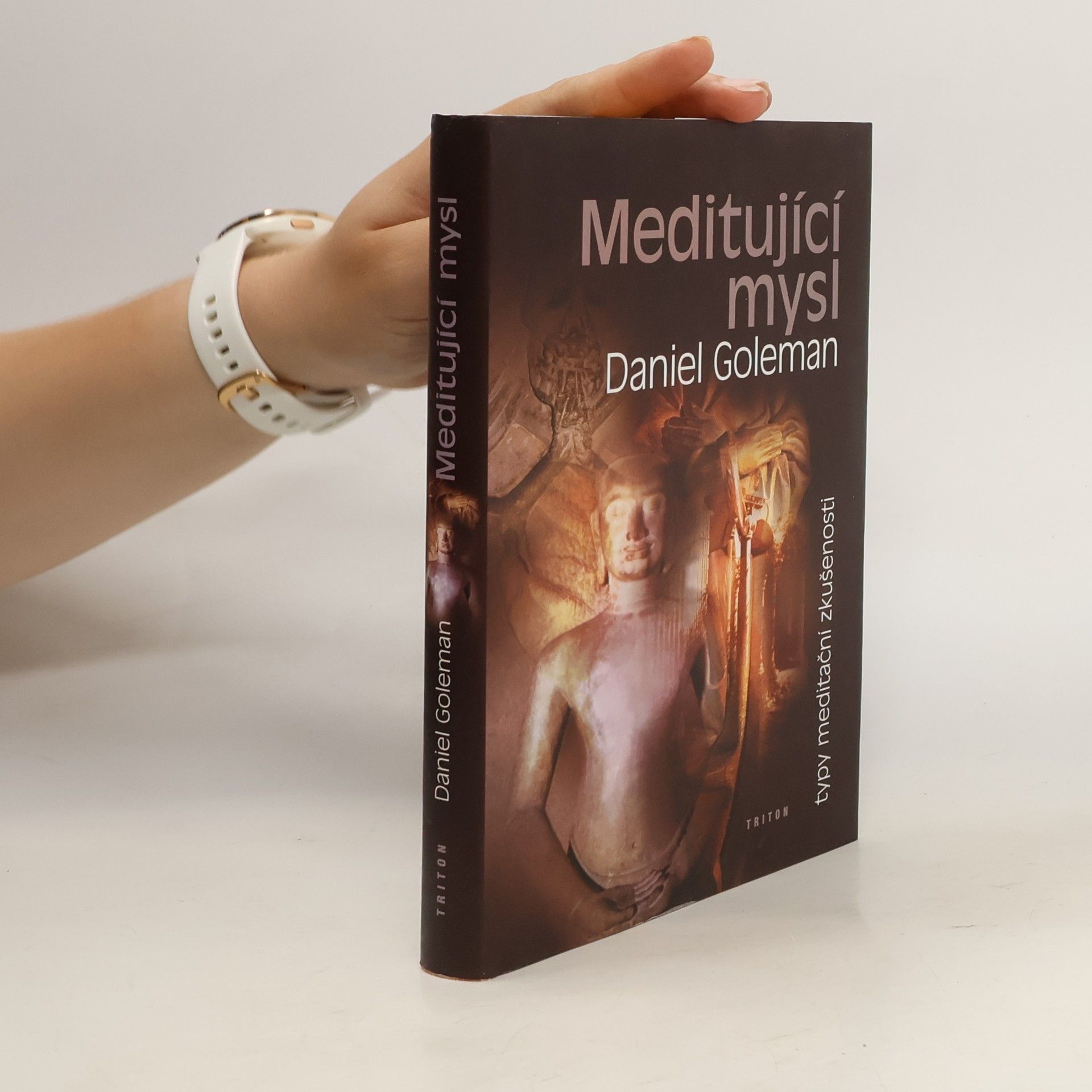 Daniel Goleman Meditující mysl : typy meditační zkušenosti