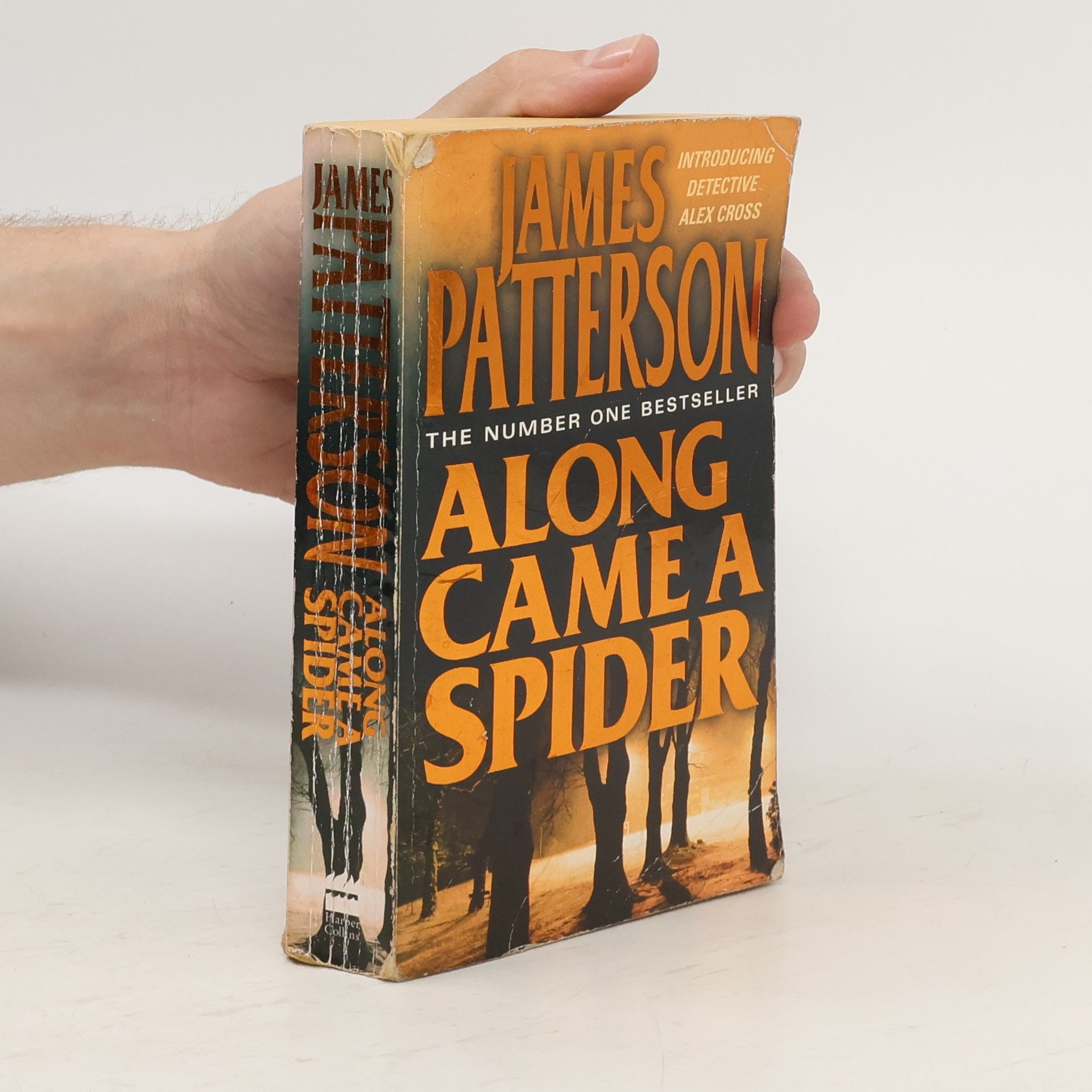 James Patterson Along Came a Spider