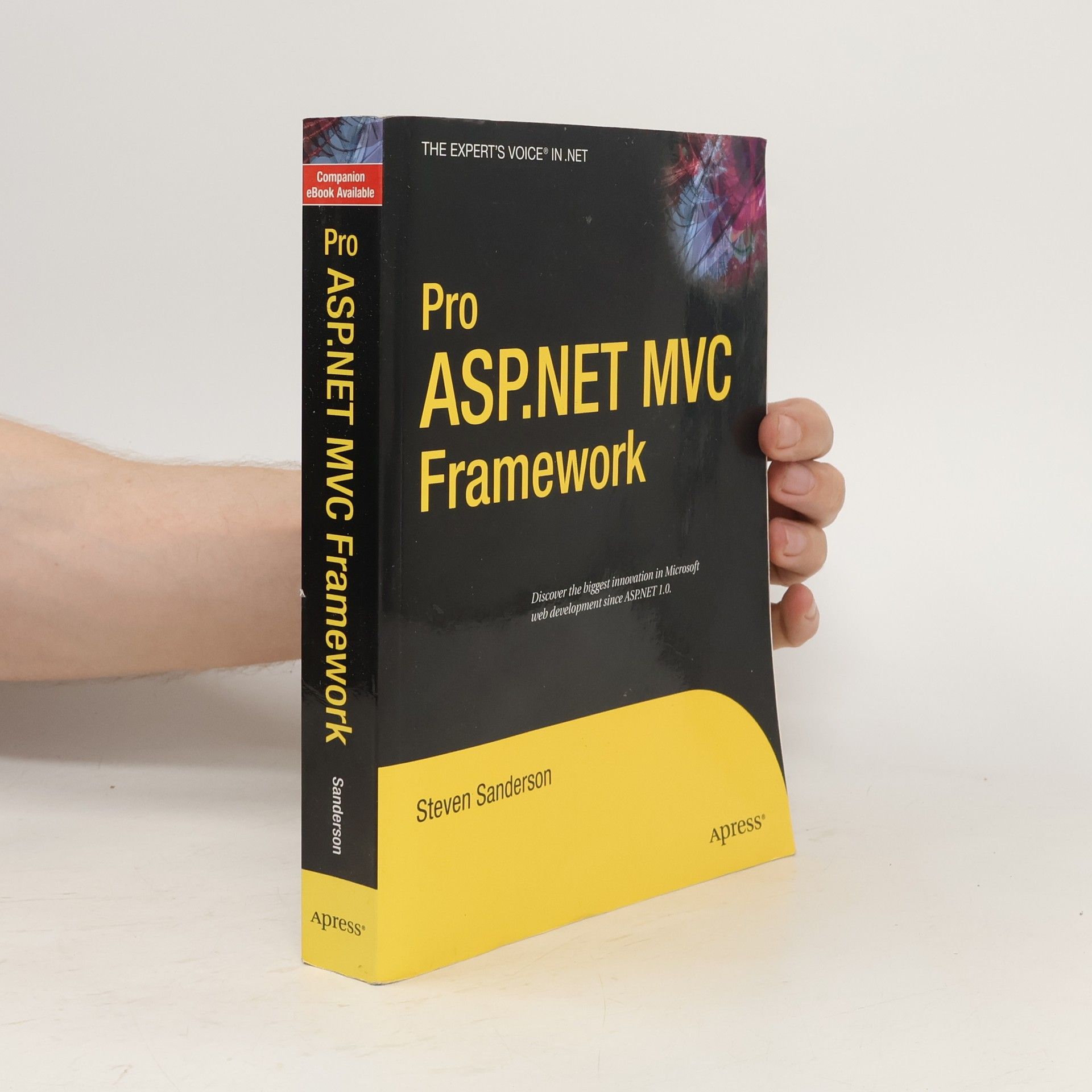 Steven Sanderson Pro ASP.NET MVC Framework