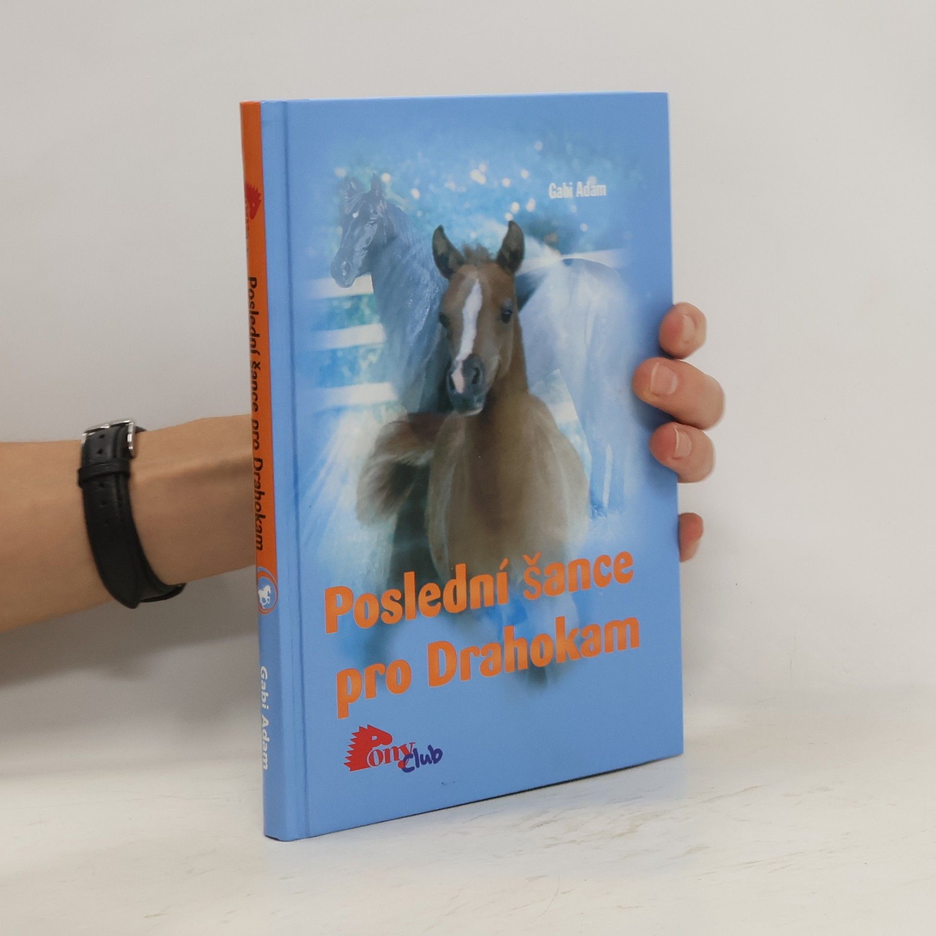 Gabi Adam Poslední šance pro Drahokam