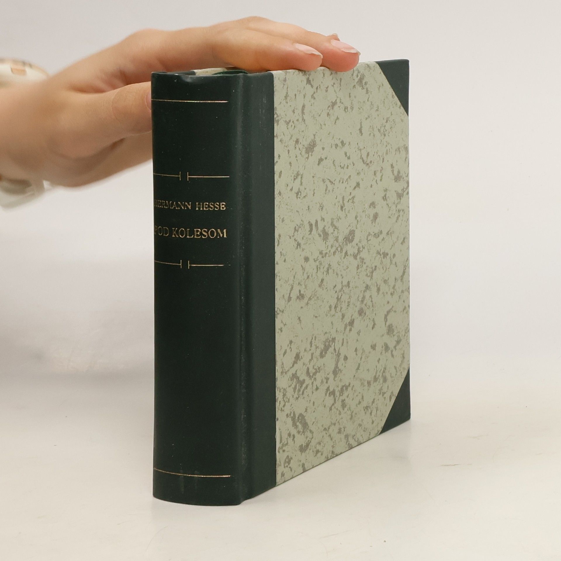 Hermann Hesse Pod kolesom