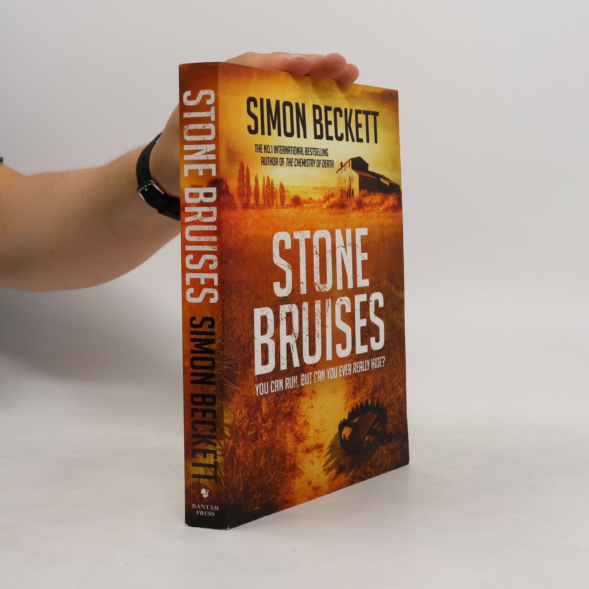 Simon Beckett Stone Bruises. Der Hof, englische Ausgabe
