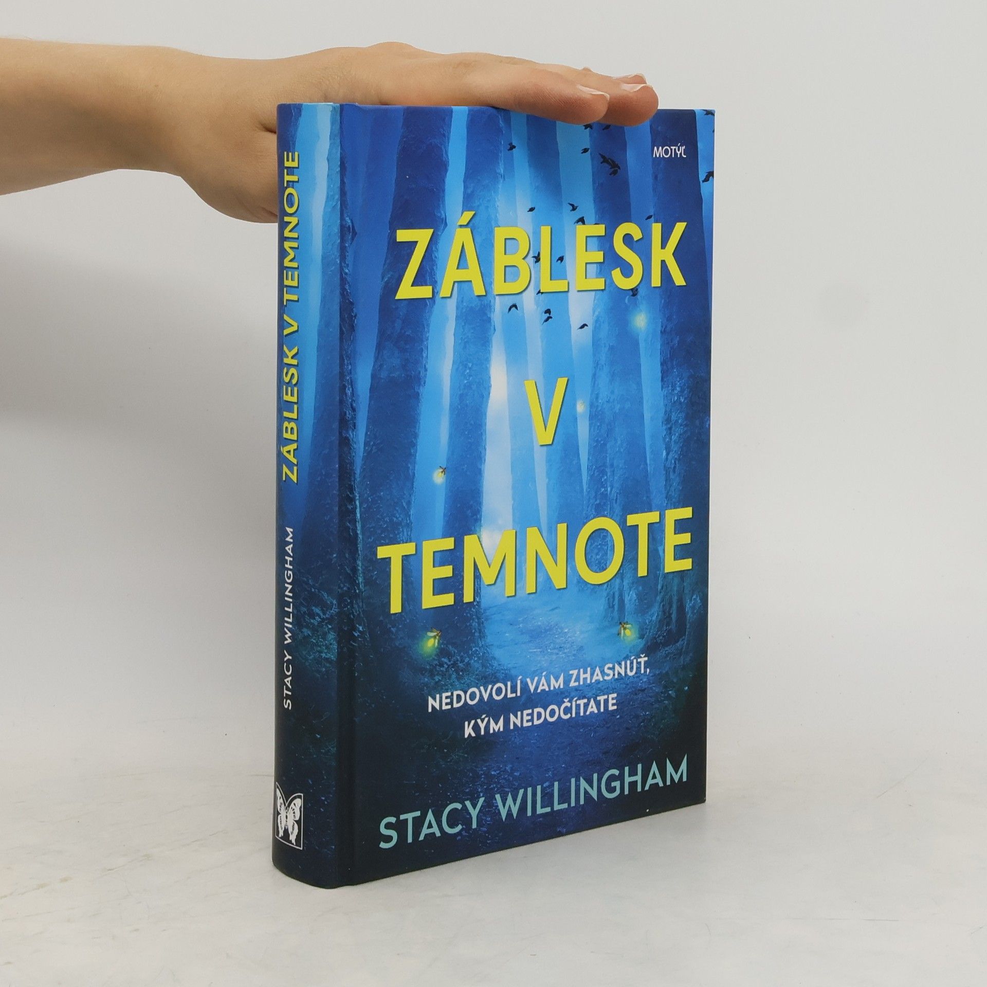 Stacy Willingham Záblesk v temnote