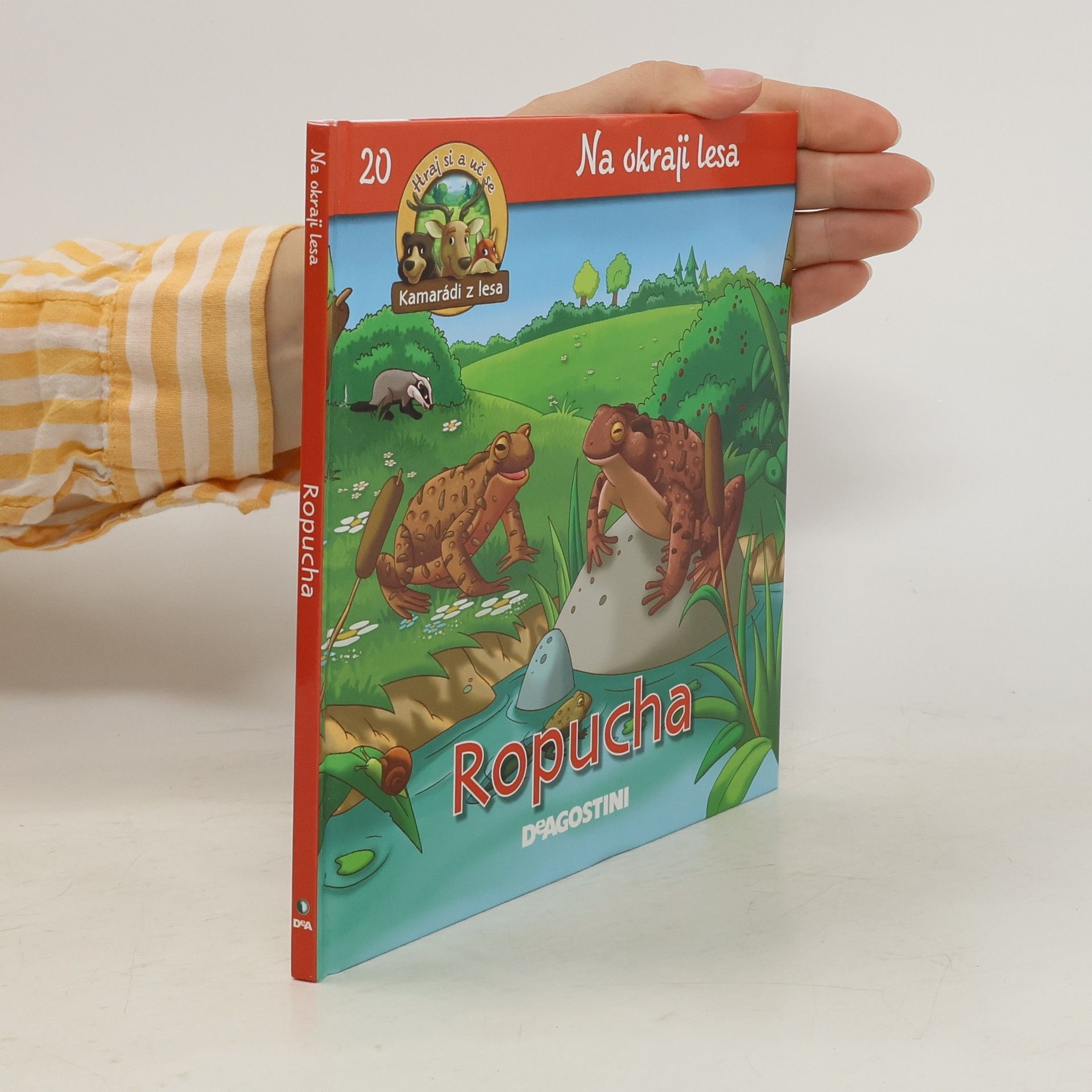 kolektiv Na okraji lesa 20. Ropucha