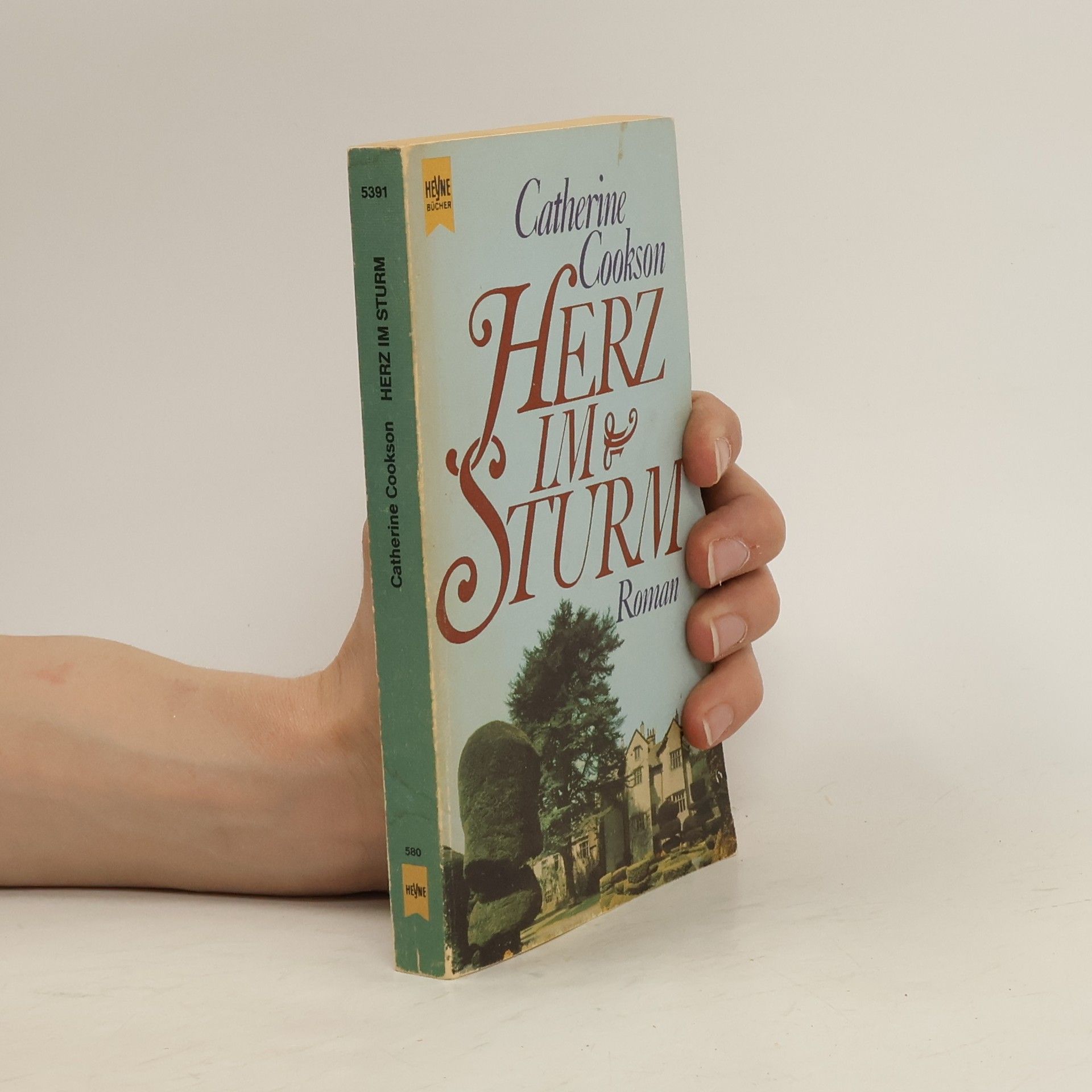 Catherine Cookson Herz im Sturm
