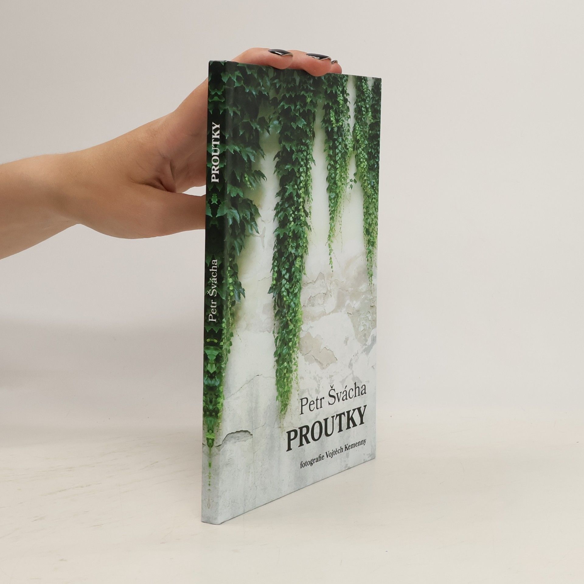 Petr Švácha Proutky