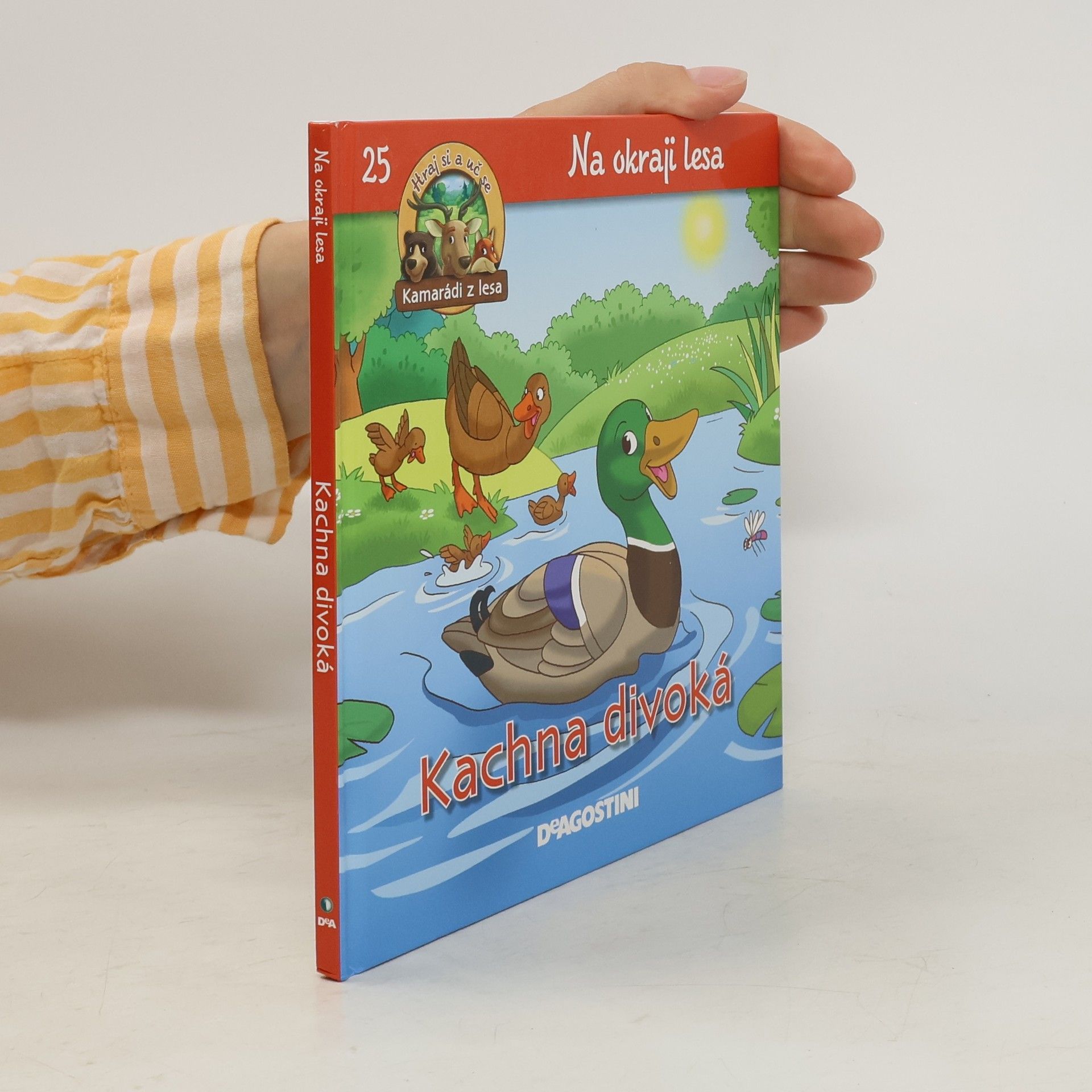kolektiv Na okraji lesa 25. Kachna divoká